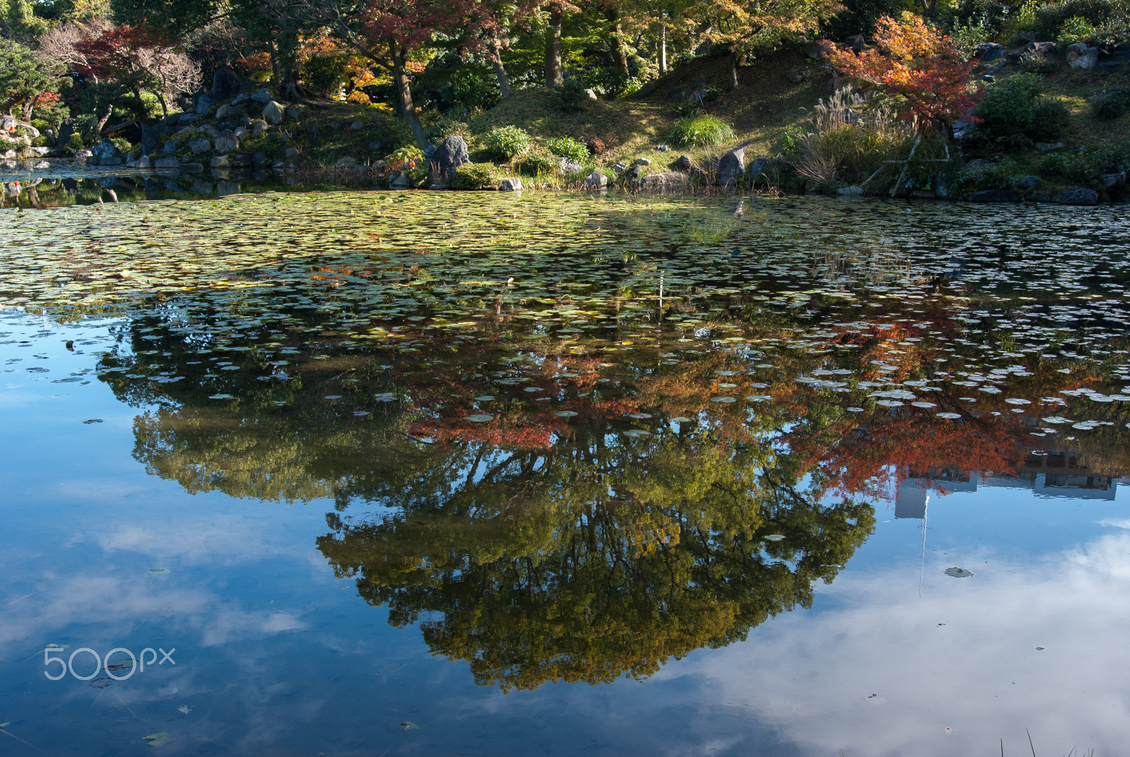 Pentax K10D sample photo. Shoseien,kyoto（渉成園　京都） photography