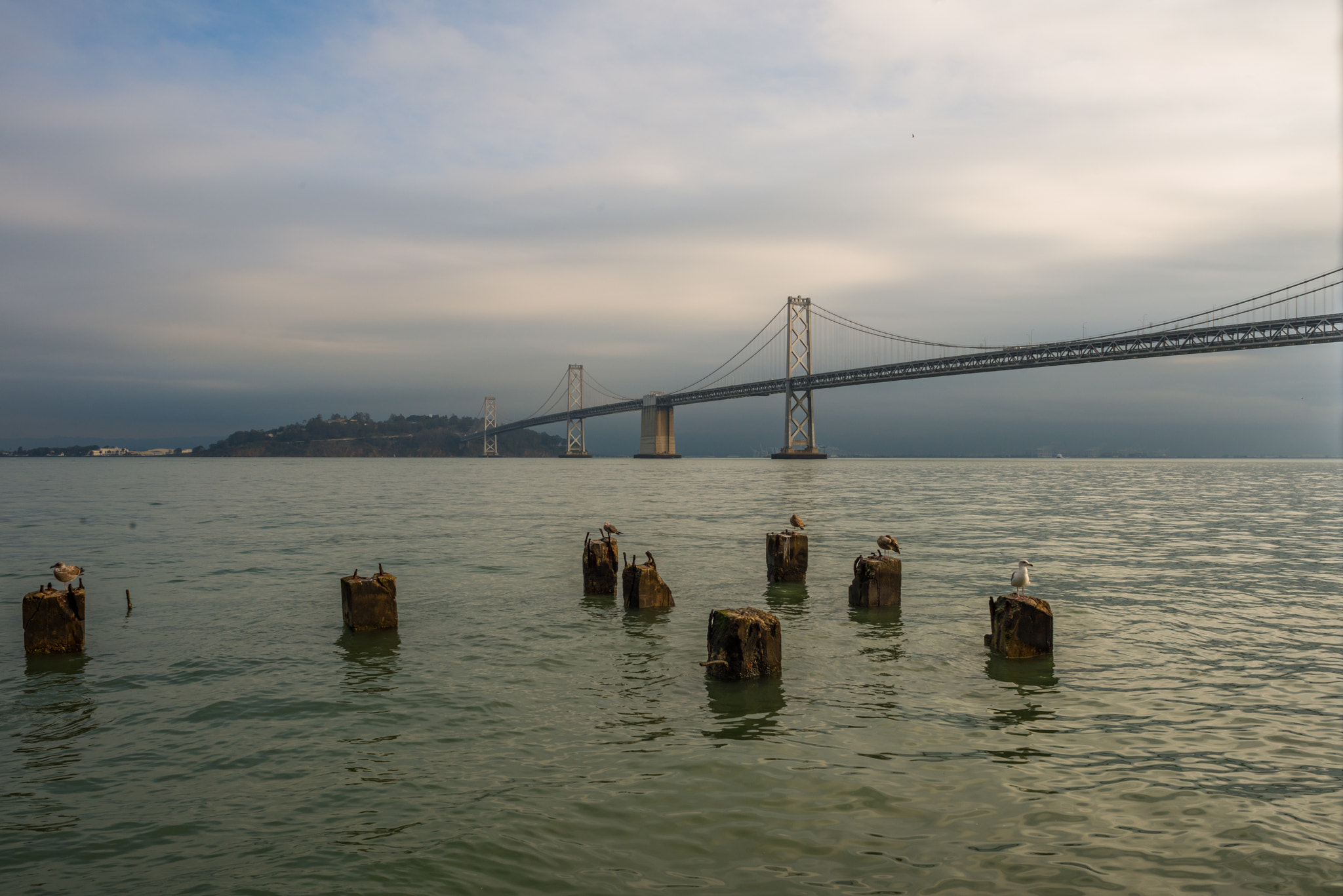 Nikon D800 + Nikon AF Nikkor 24mm F2.8D sample photo. Bay bridge, san francisco photography