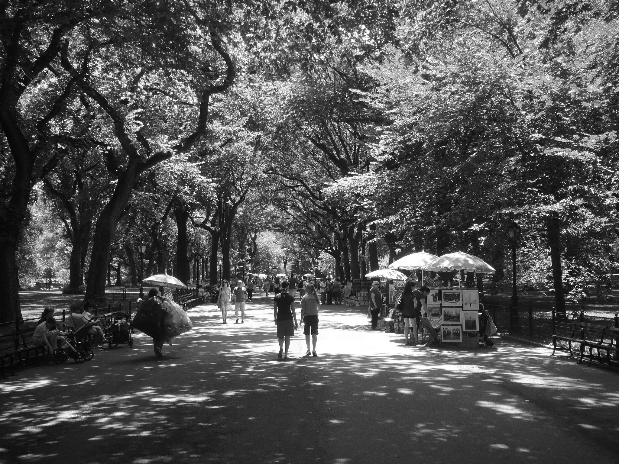 Sony DSC-TX7 sample photo. The mall in central park in b&w photography