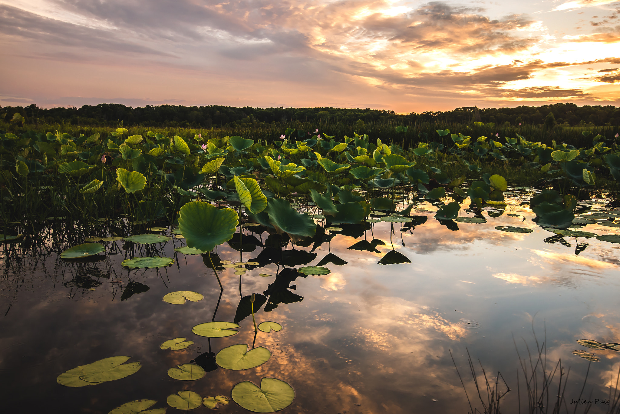 Sigma 10-20mm F4-5.6 EX DC HSM sample photo. What a view photography