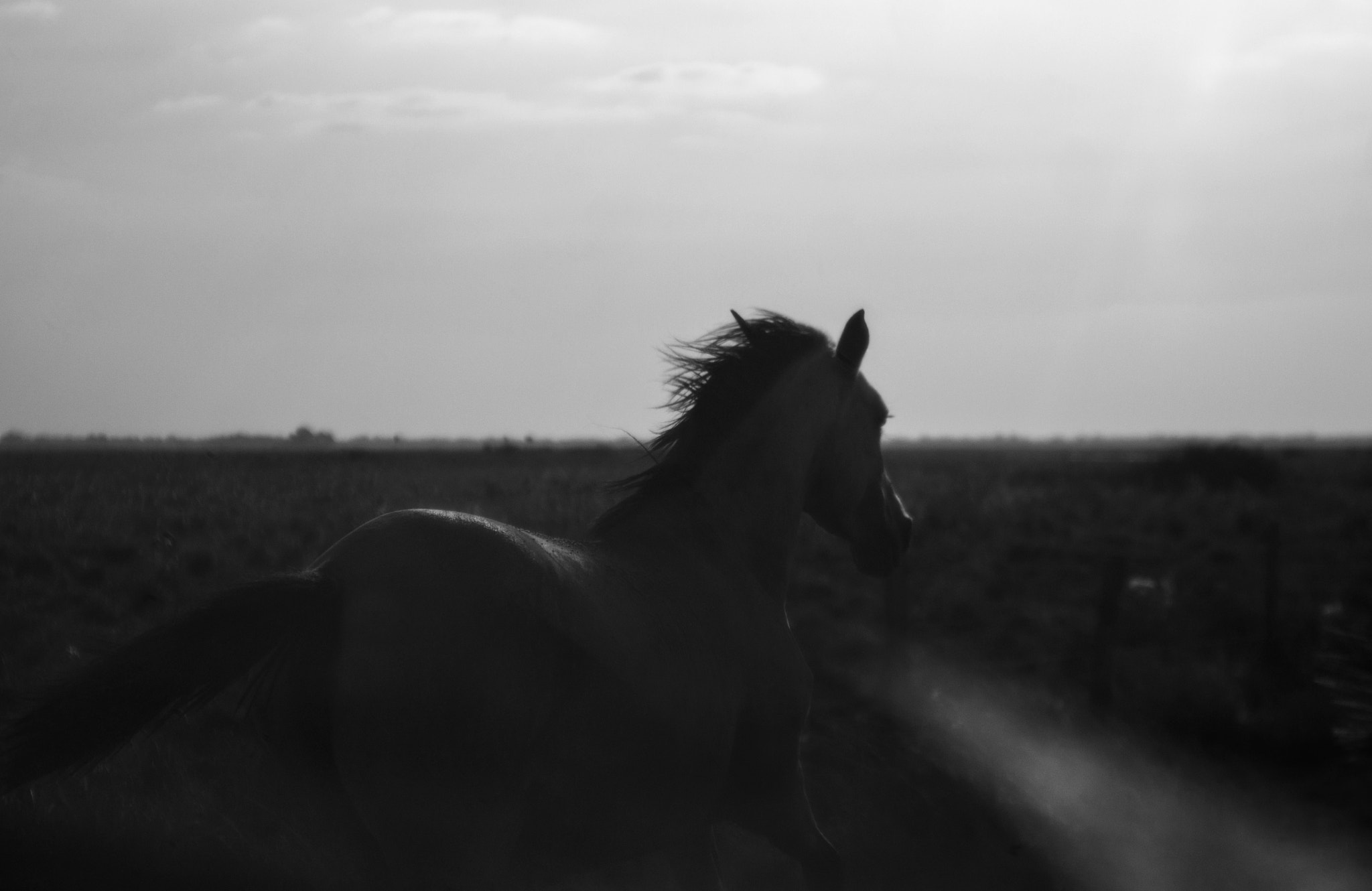 Canon EF 28-80mm f/2.8-4L sample photo. Freedom ii photography