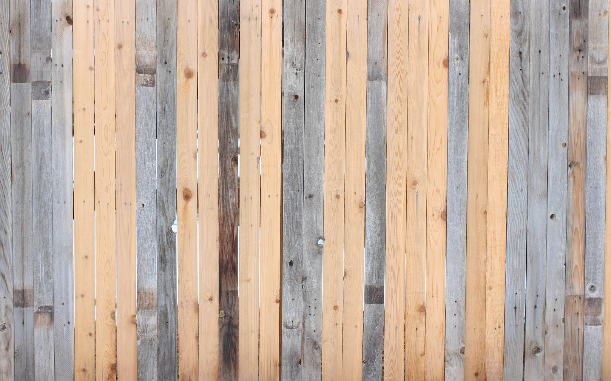 Canon EF 40mm F2.8 STM sample photo. Untitled (fence) photography
