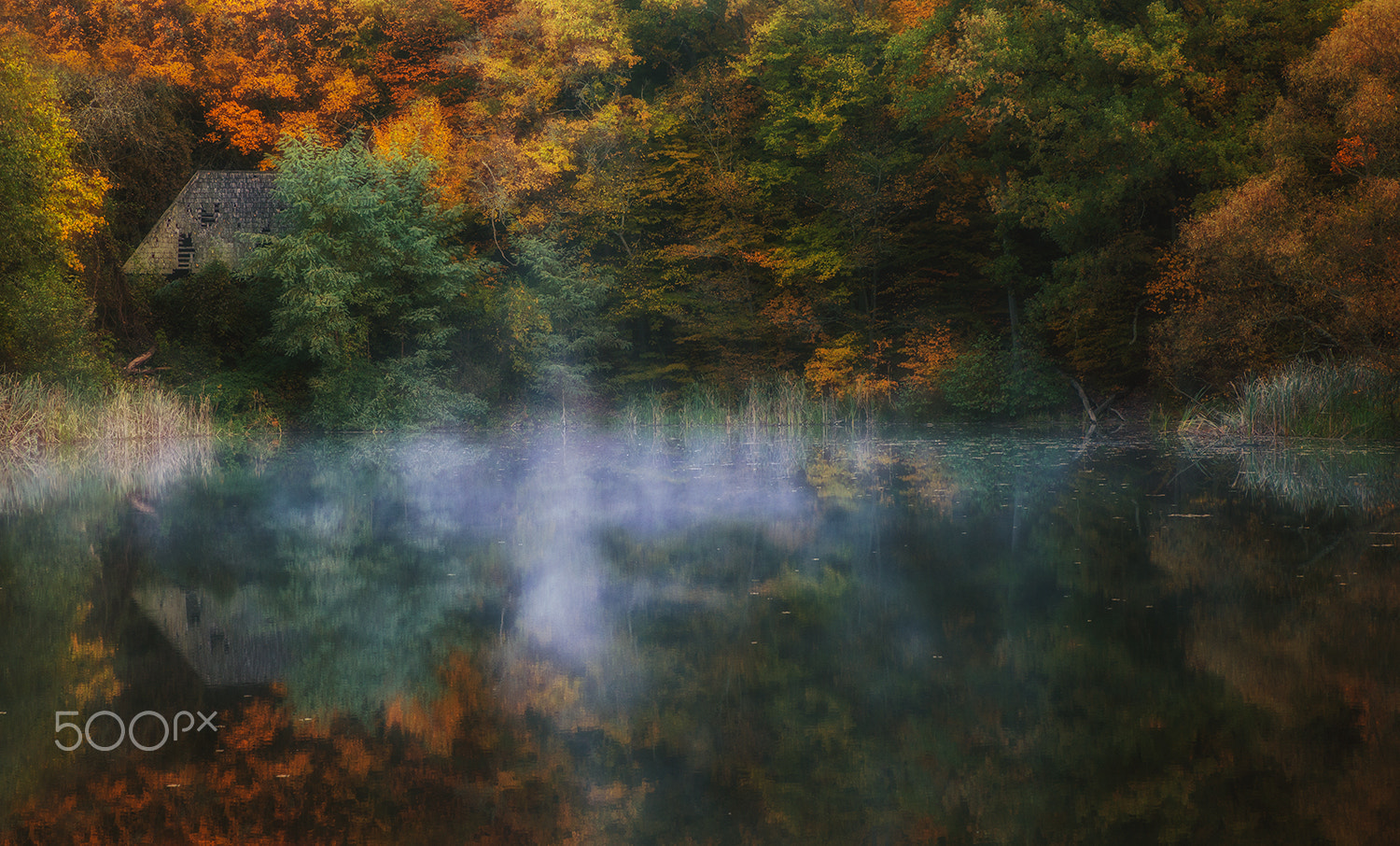 Sony Alpha DSLR-A900 + Tamron SP 24-70mm F2.8 Di VC USD sample photo. Autumn mirror photography