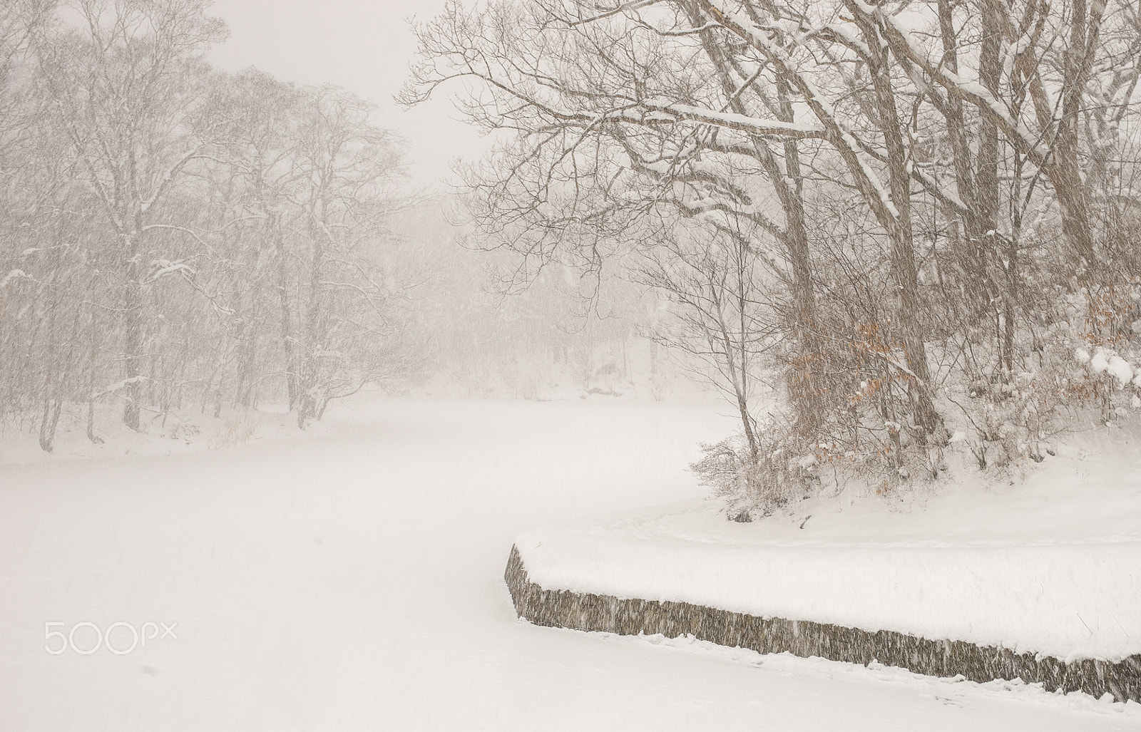 Canon EF 24-70mm F2.8L II USM sample photo. Hokkaido, japan 2 photography