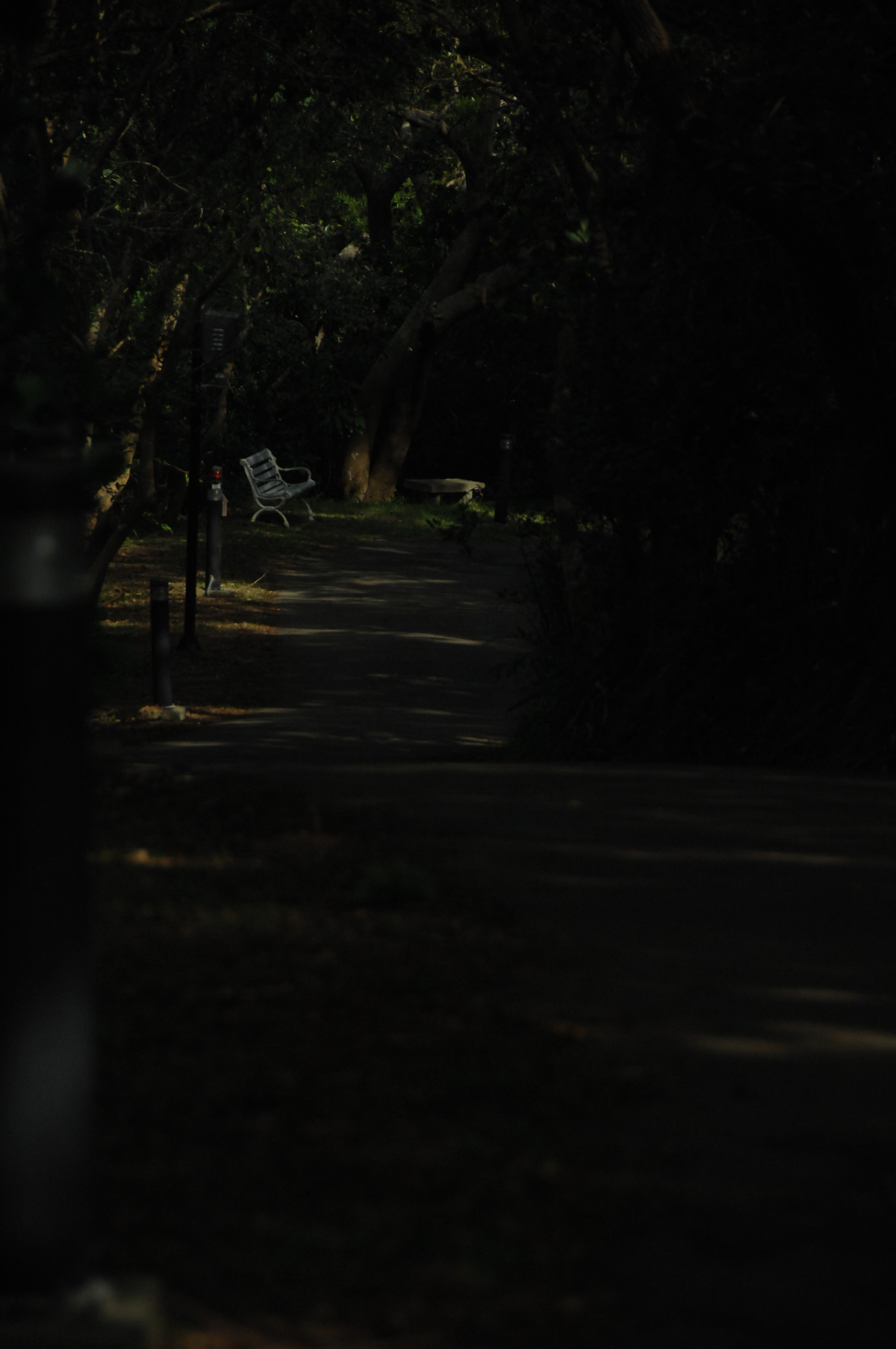 Nikon D2X sample photo. .. photography