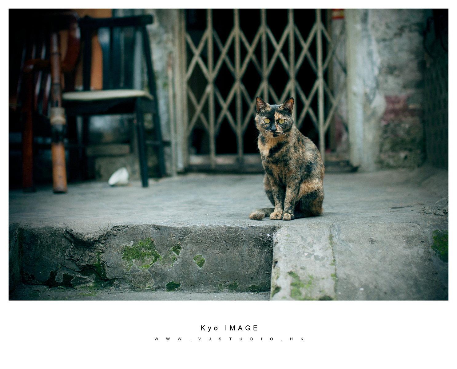 Nikon D90 + Sigma 35mm F1.4 DG HSM Art sample photo. 春天里 photography
