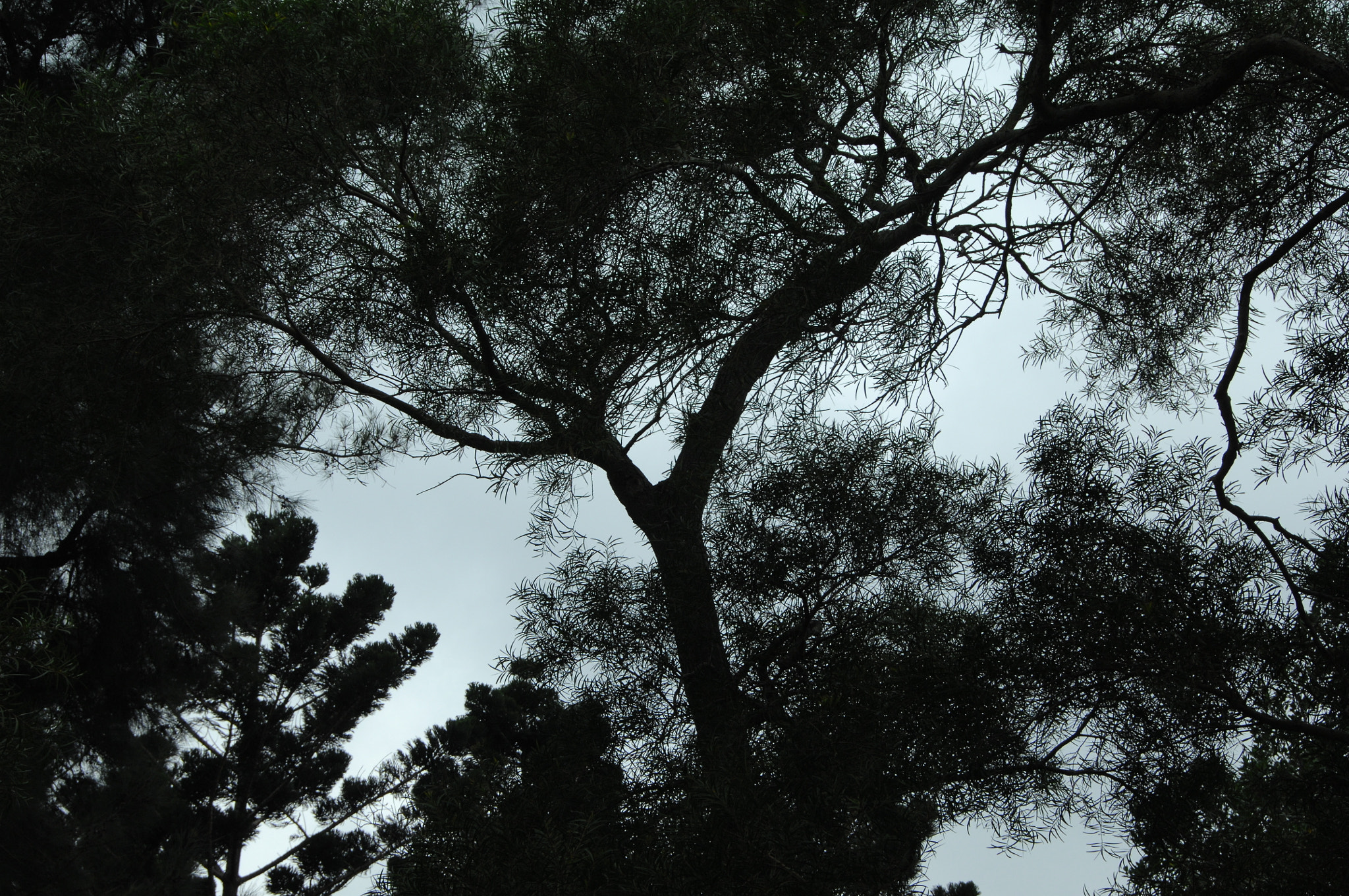 Nikon D2X sample photo. .. photography
