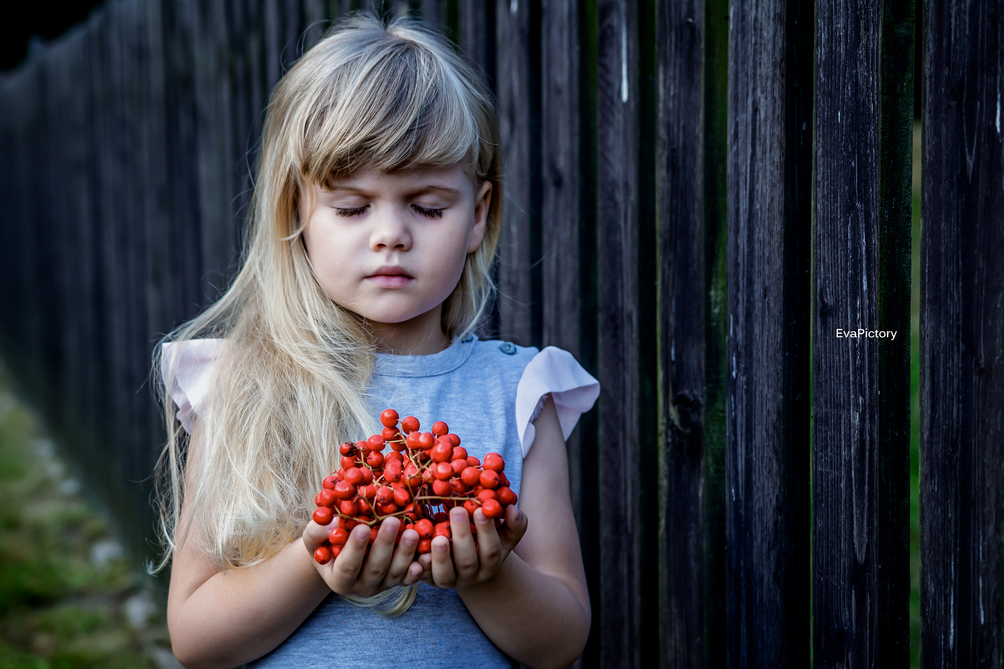 Sigma 18-35mm f/1.8 DC HSM sample photo. Rowanberry photography