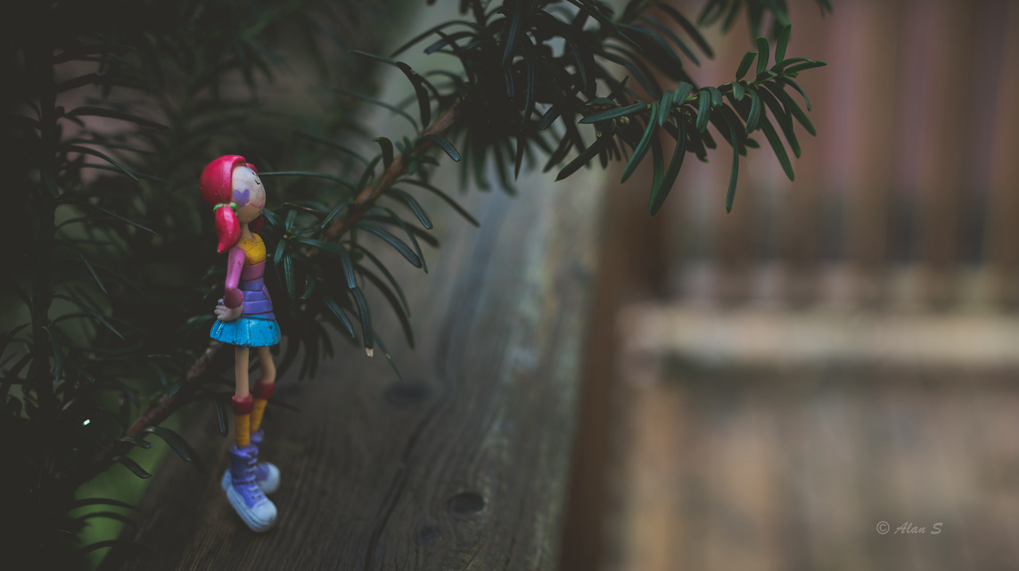 ZEISS Makro-Planar T* 50mm F2 sample photo. Saturday  afternoon photography