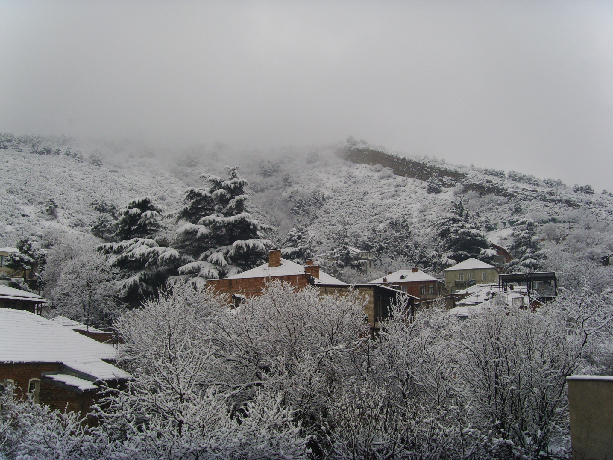 DIGITAL CAM sample photo. Tbilisi photography