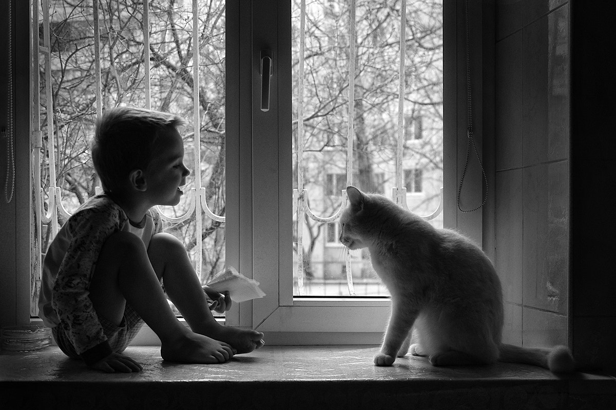 Pentax K-5 II sample photo. Друзья photography