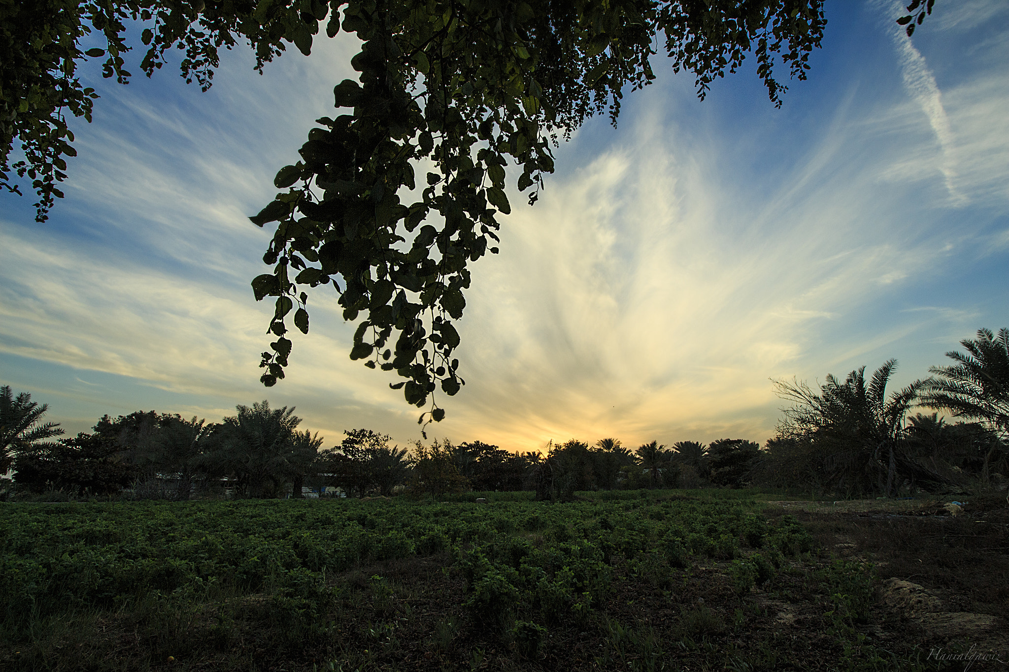 Canon EF-S 10-18mm F4.5–5.6 IS STM sample photo. When the neutral painting,  sure it will be beautiful photography