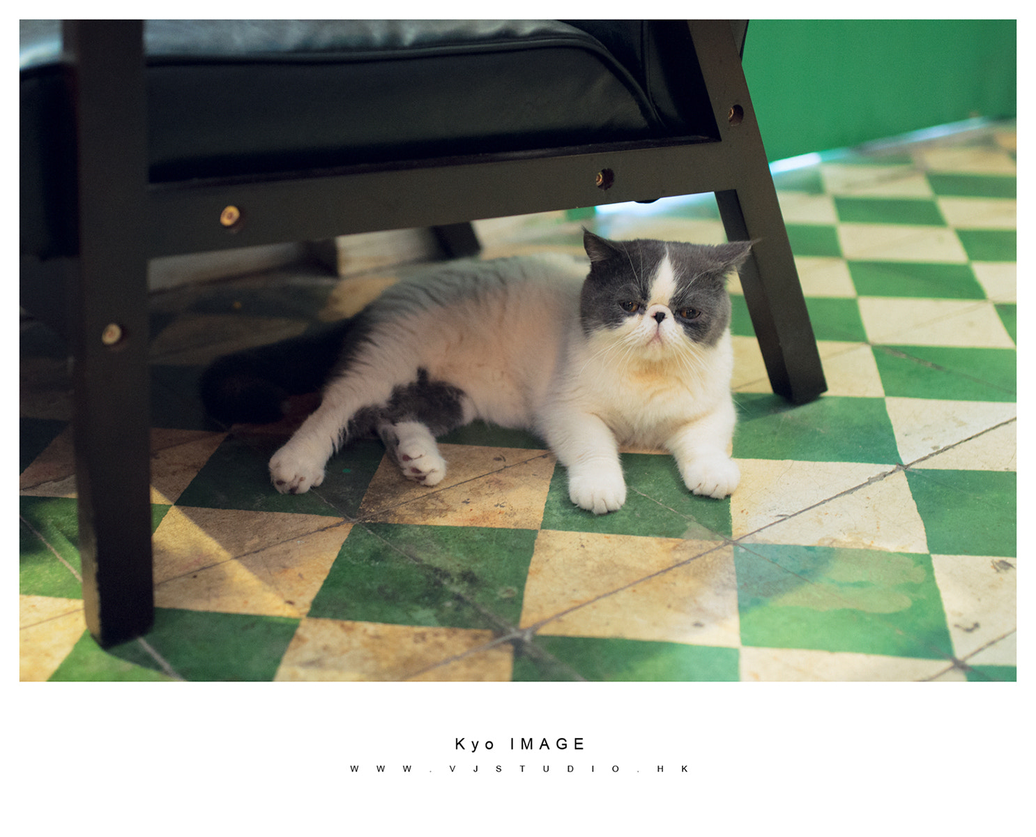 Nikon D90 + Sigma 35mm F1.4 DG HSM Art sample photo. 淡淡的走，做安靜的自己 photography