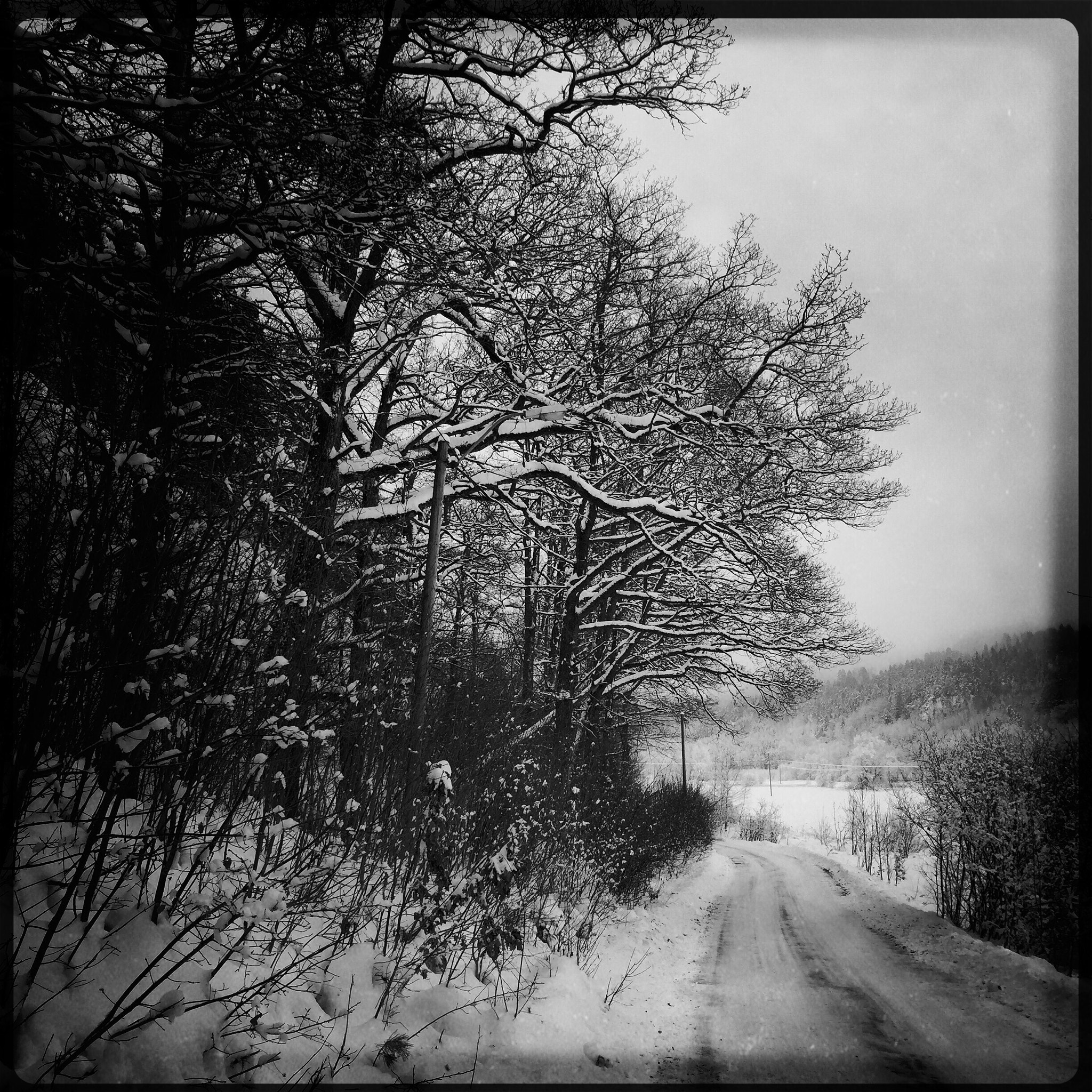 Hipstamatic 310 sample photo. Winter in sætre photography