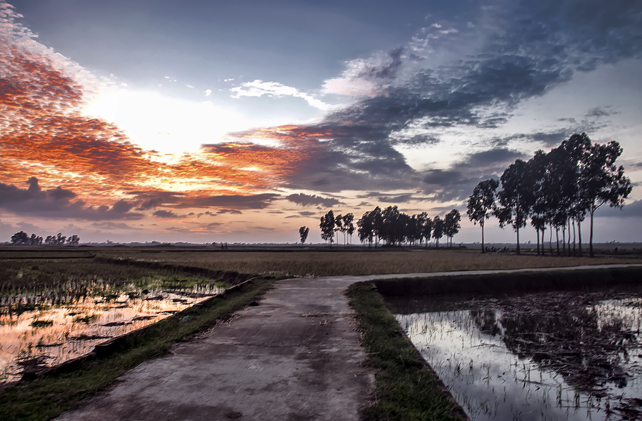 Sigma 18-250mm F3.5-6.3 DC OS HSM sample photo. Sun set photography