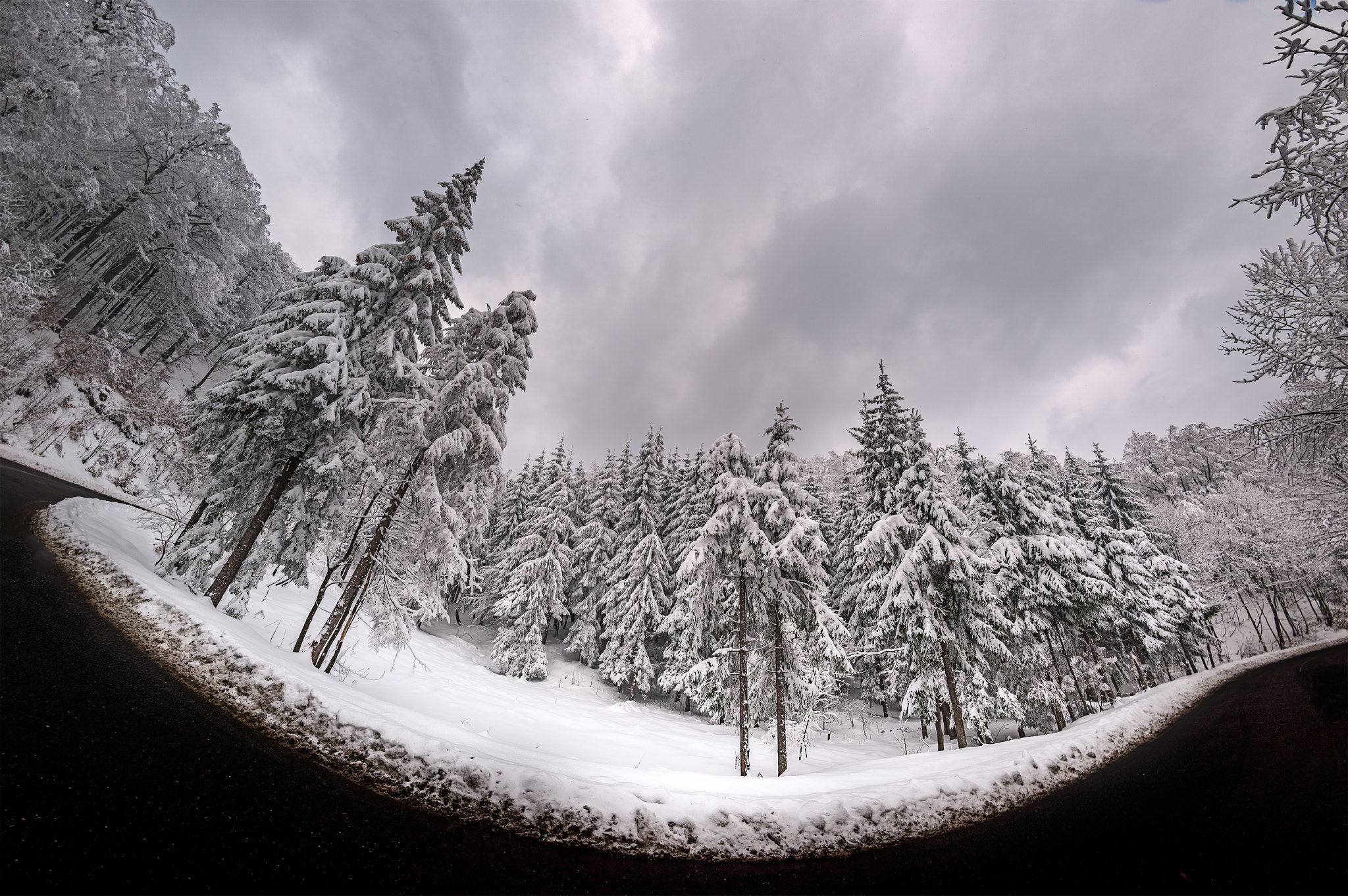 Samyang 12mm F2.8 ED AS NCS Fisheye sample photo. Curve photography