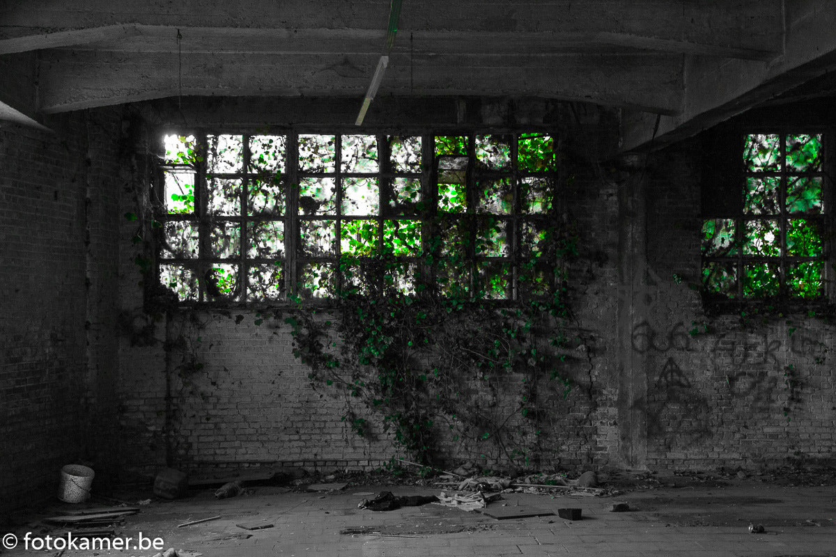 Canon EOS 1000D (EOS Digital Rebel XS / EOS Kiss F) sample photo. Old factory photography