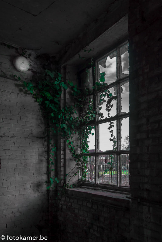 Canon EOS 1000D (EOS Digital Rebel XS / EOS Kiss F) sample photo. Old factory photography