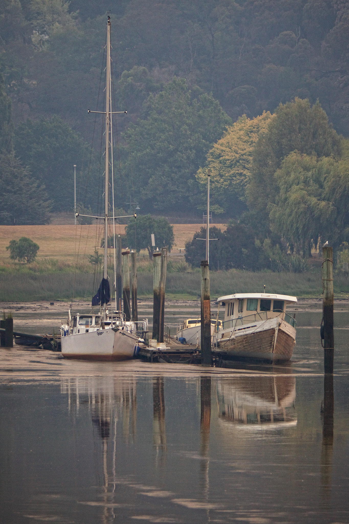 Canon EF 70-200mm F2.8L IS USM sample photo. Reflections photography