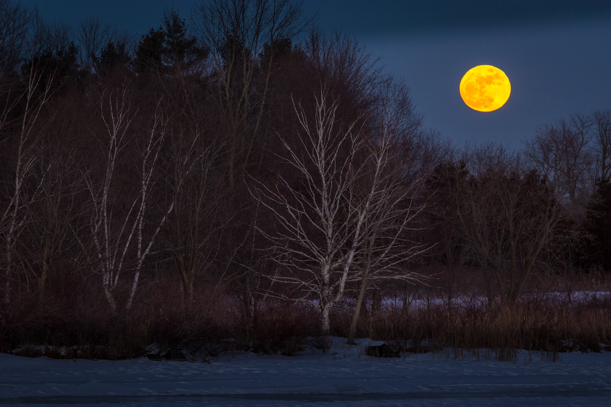 Canon EF 70-200mm F4L IS USM sample photo. Moon over the rideau photography