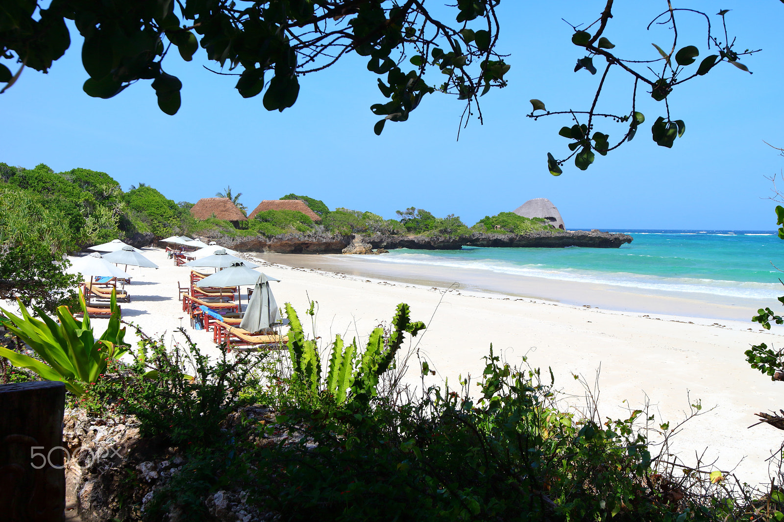 Canon EOS M2 sample photo. Chale island, kenya photography