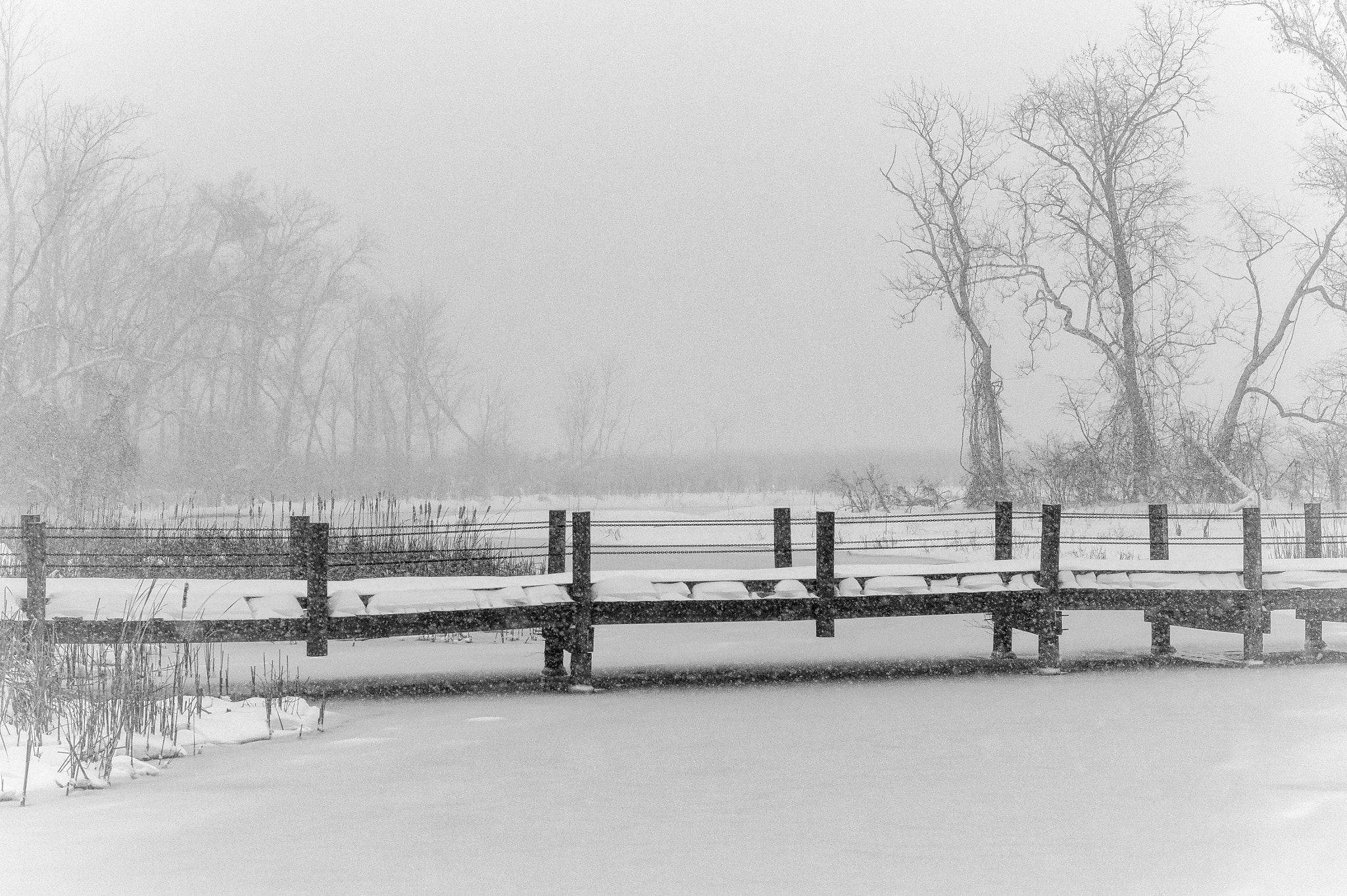 Nikon Df + Nikon AF-S Nikkor 85mm F1.8G sample photo. Mt vernon trail amidst the blizzard photography