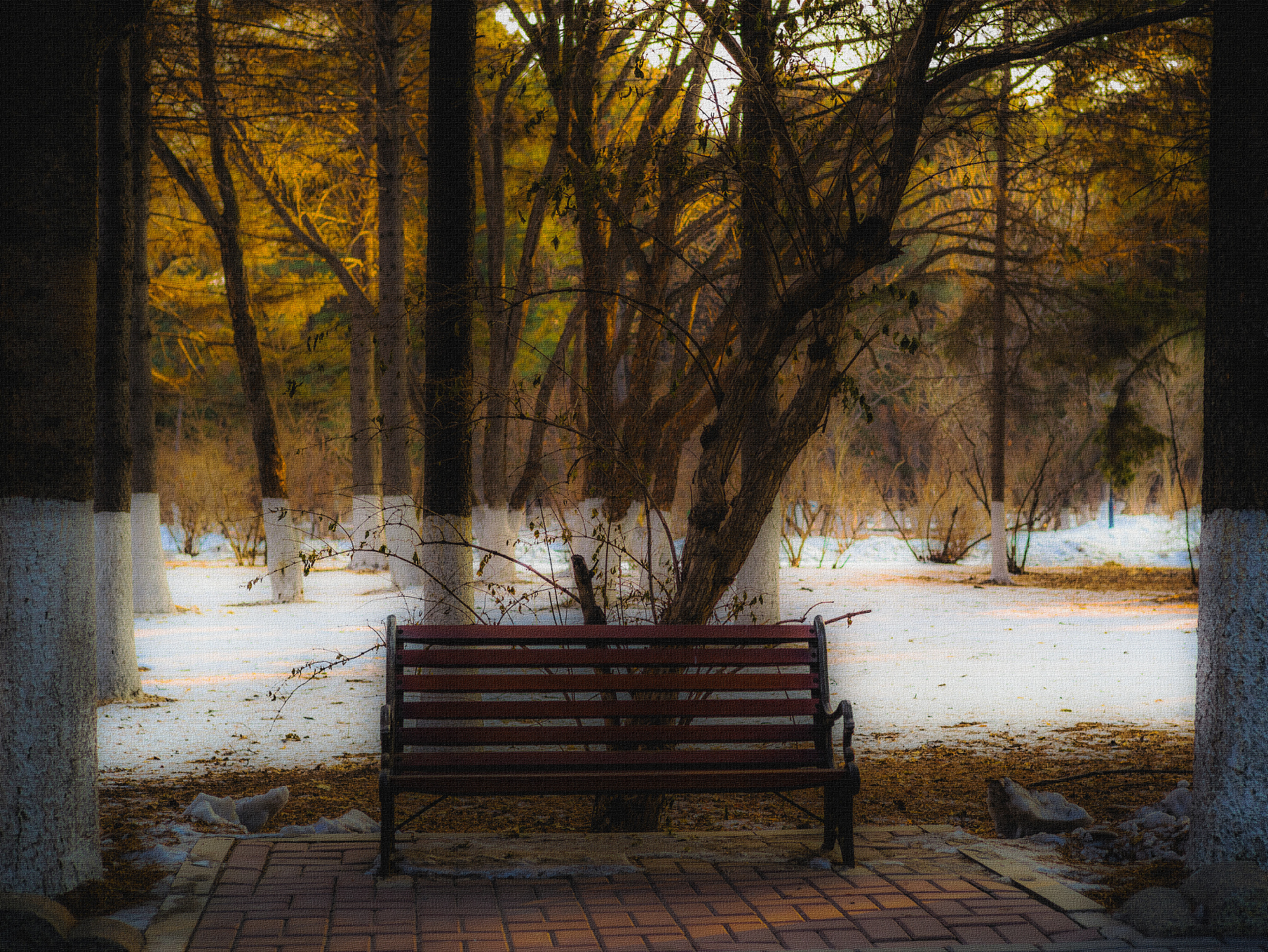 Tele-Elmar 1:4/135 sample photo. Winter photography