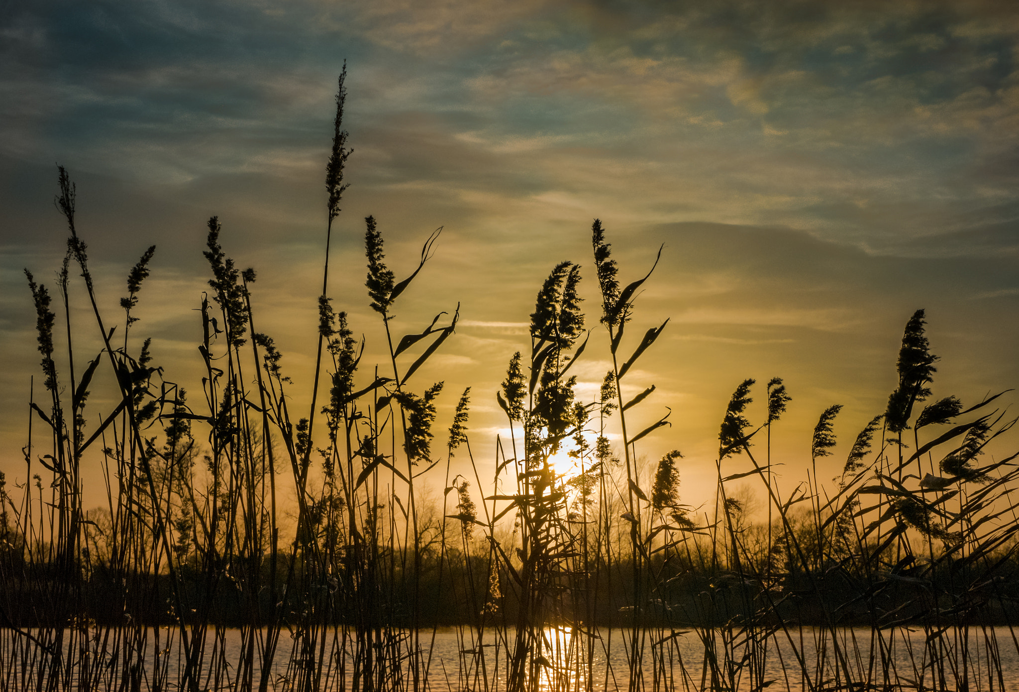LUMIX G VARIO 35-100/F4.0-5.6 sample photo. Broadland sunset photography