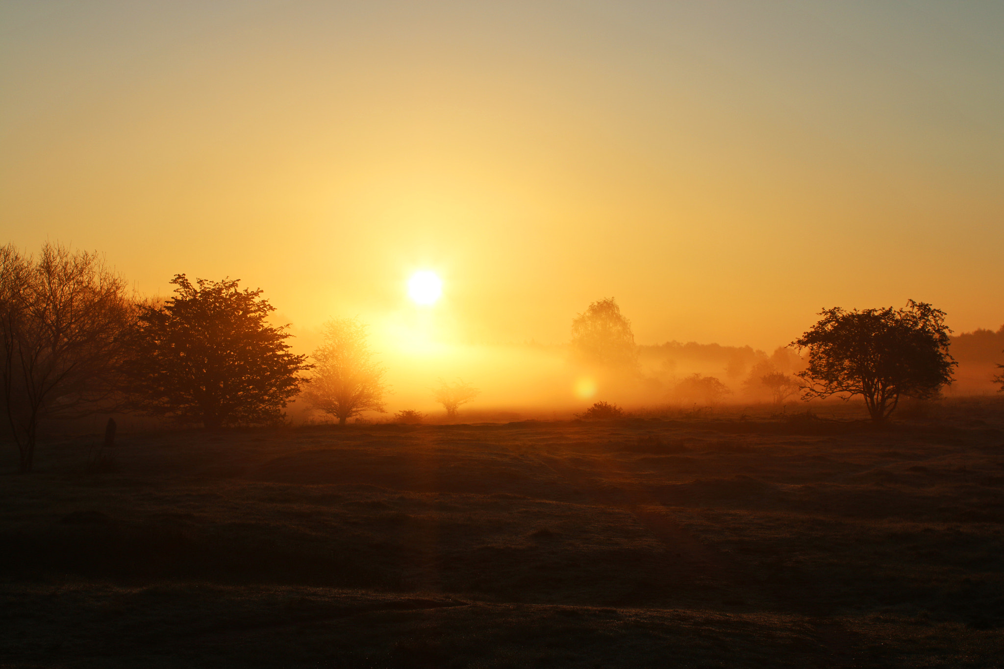 Canon EOS 70D + Canon EF 50mm F1.2L USM sample photo. Sun emerges from dust photography