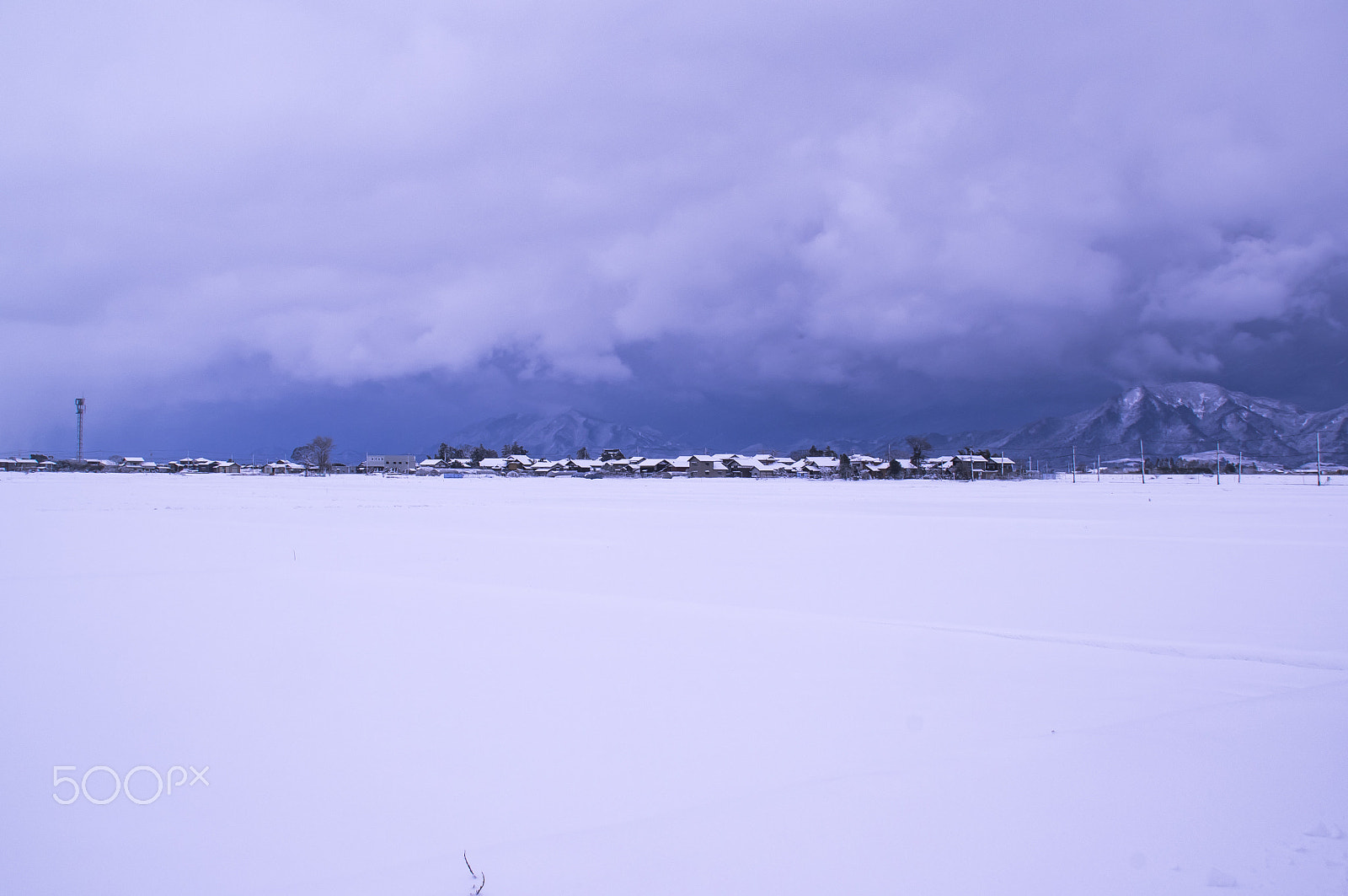 Tamron AF 18-200mm F3.5-6.3 XR Di II LD Aspherical (IF) Macro sample photo. "冬"winter photography