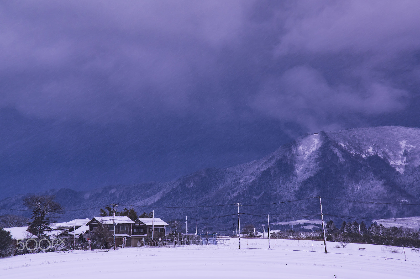 Tamron AF 18-200mm F3.5-6.3 XR Di II LD Aspherical (IF) Macro sample photo. "冬"winter photography