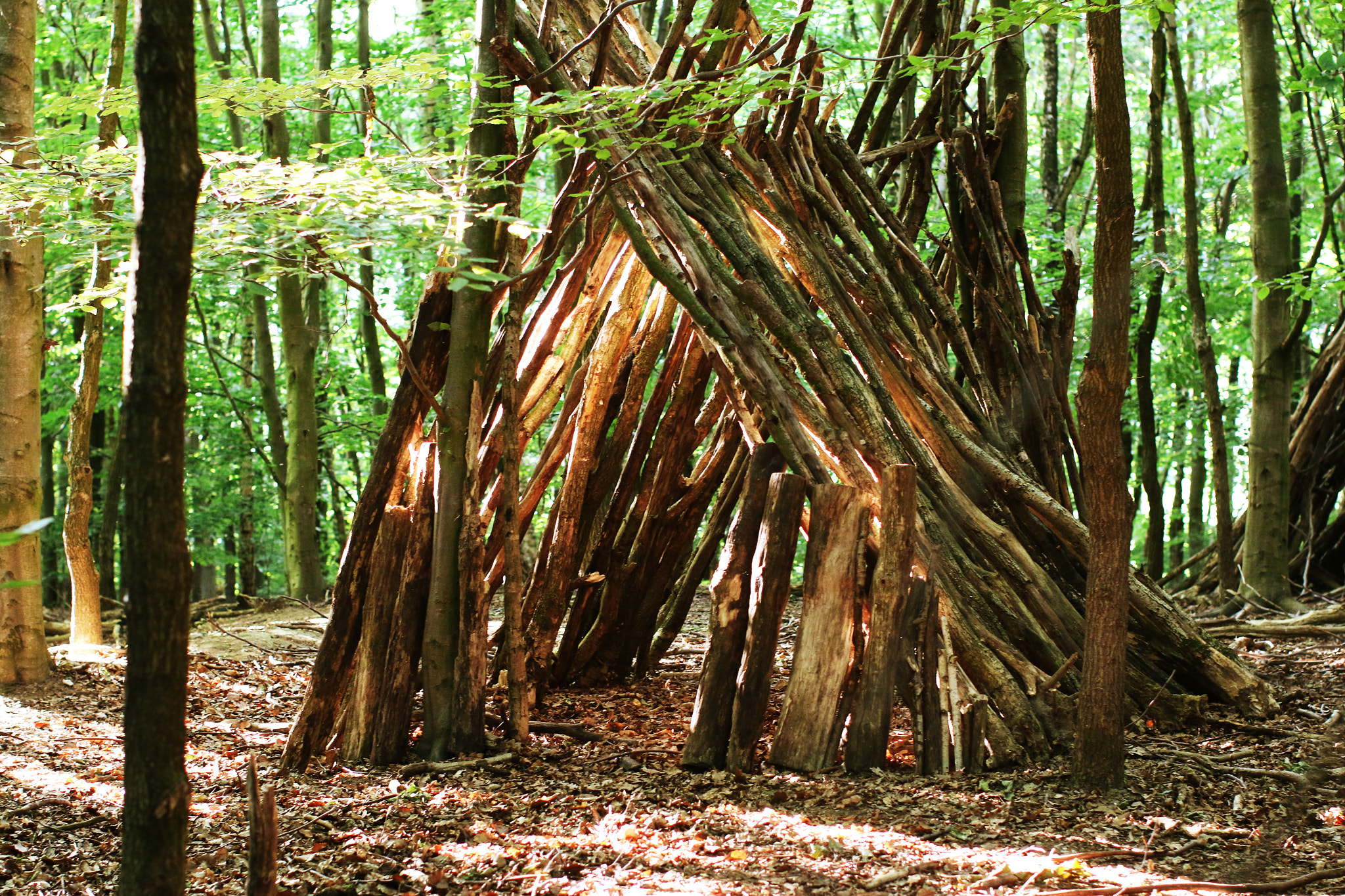Canon EOS 70D + Canon EF 50mm F1.2L USM sample photo. Wooden tent in the forest photography