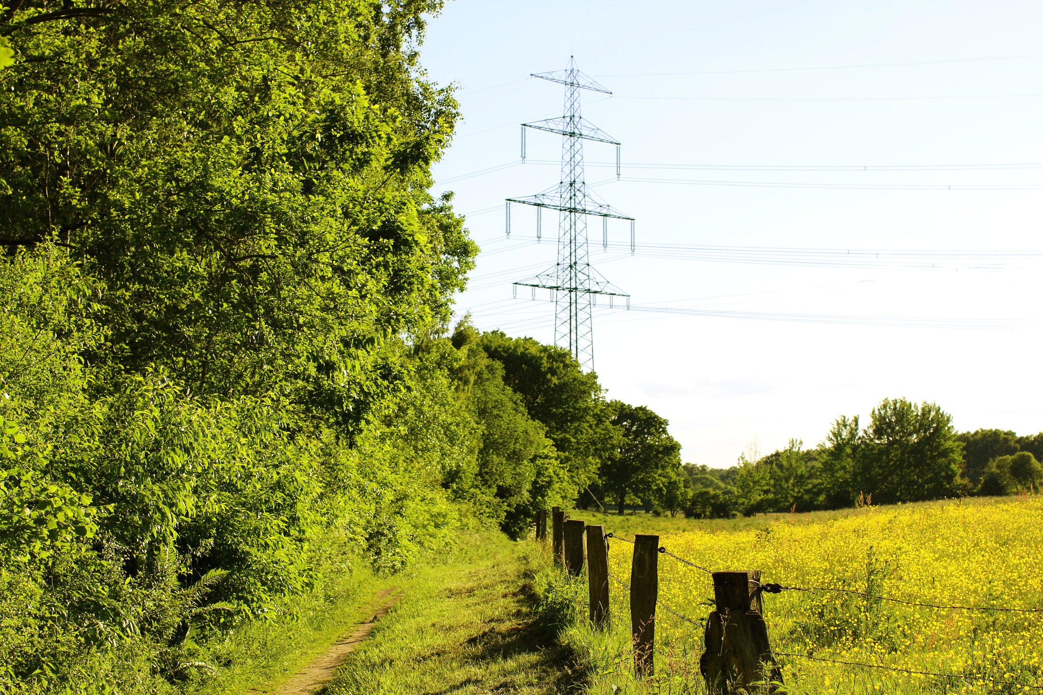 Canon EOS 70D + Canon EF 50mm F1.2L USM sample photo. Nature reserve photography