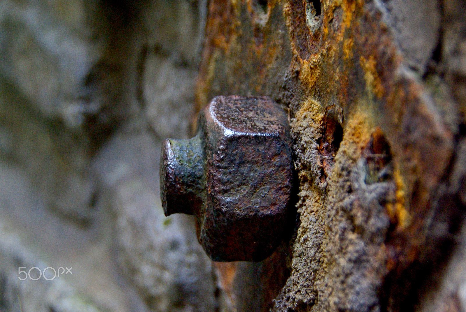 Pentax K10D sample photo. Color of rust photography