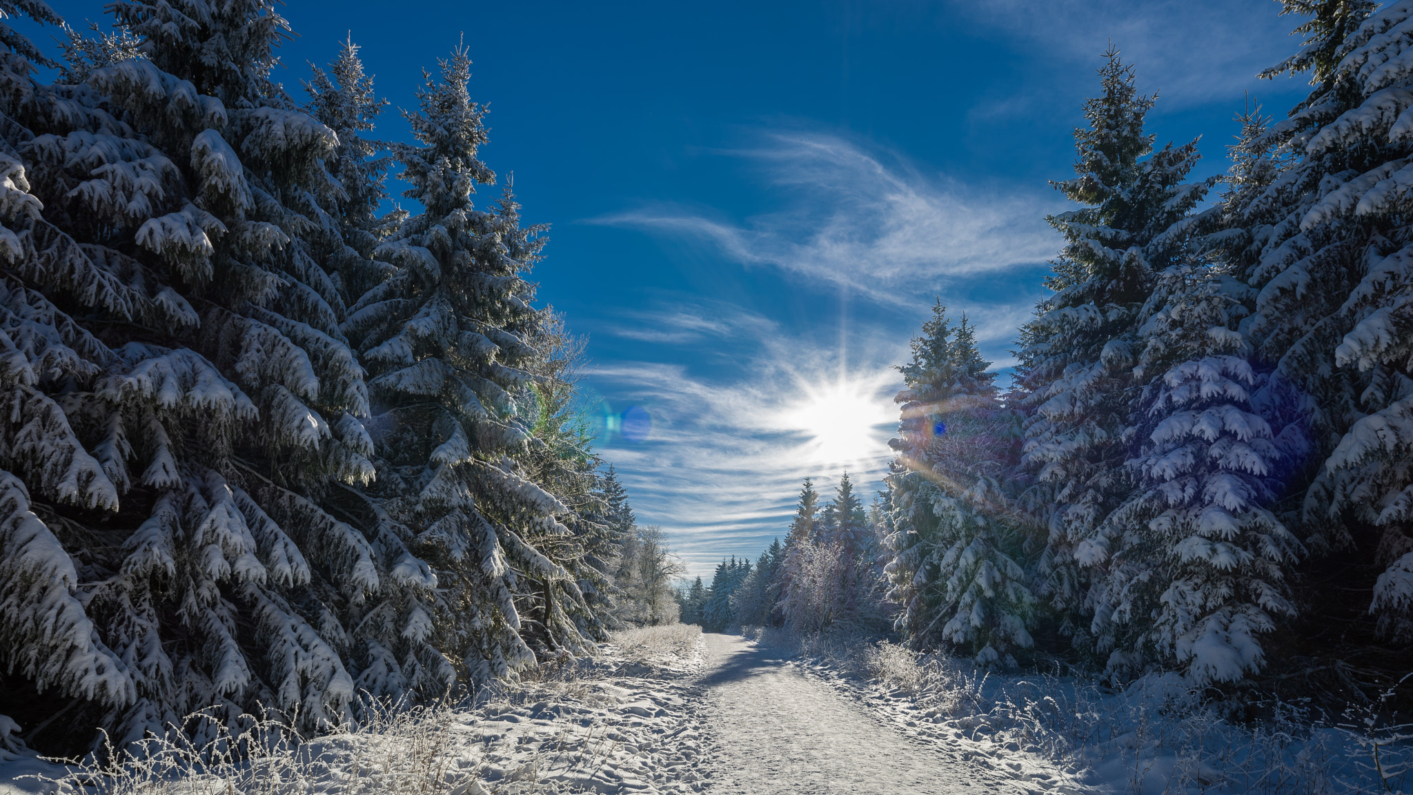 Leica Tri-Elmar-M 16-18-21mm F4 ASPH sample photo. Winter wonderland photography