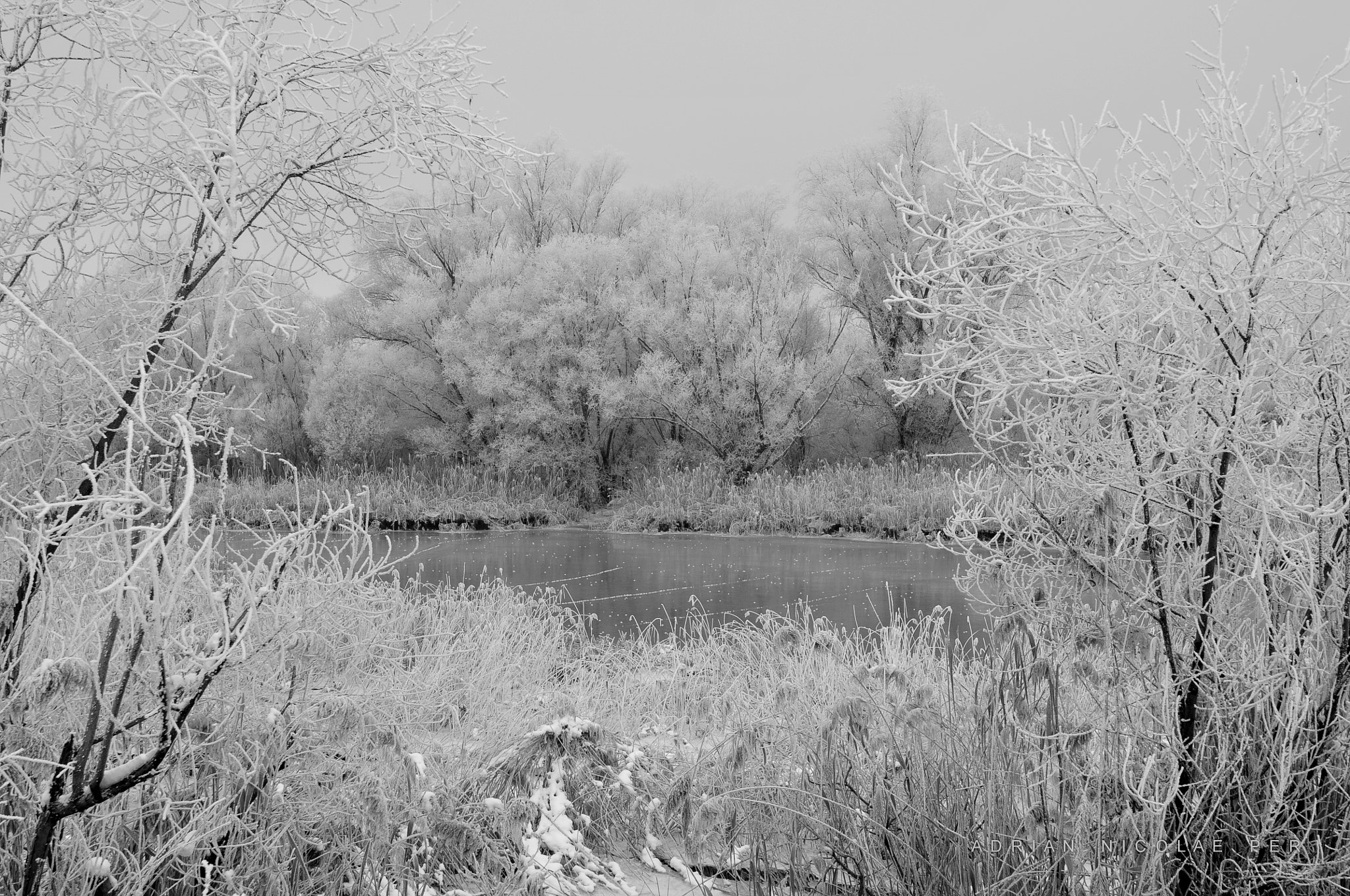 Nikon AF-S Nikkor 16-35mm F4G ED VR sample photo. Winter simphony photography