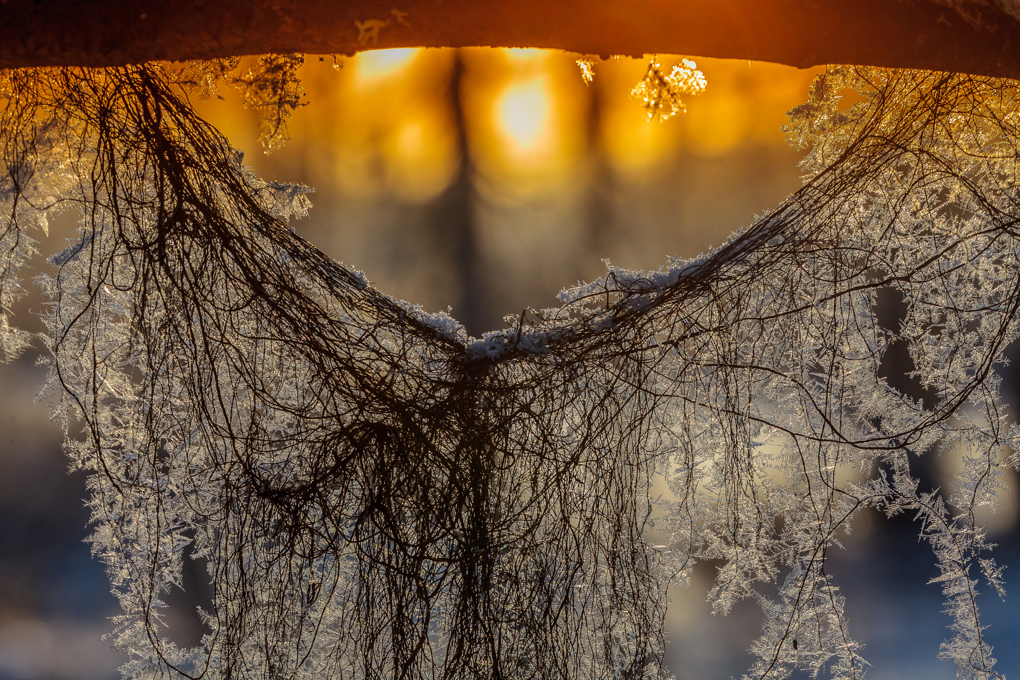 Sigma 105mm F2.8 EX DG OS HSM sample photo. Winter necklace photography