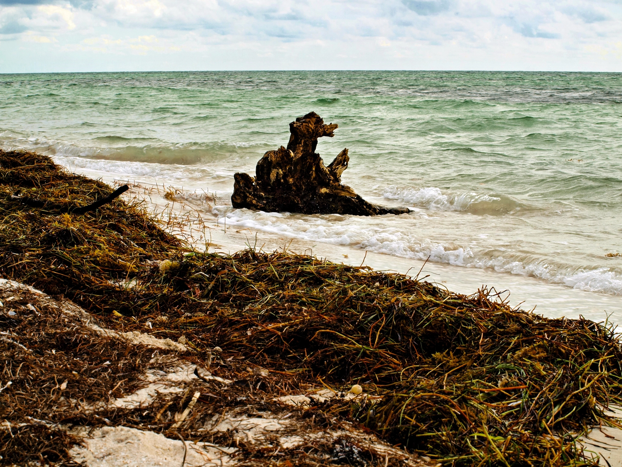 Olympus E-600 (EVOLT E-600) sample photo. Bahia honda beach monster photography