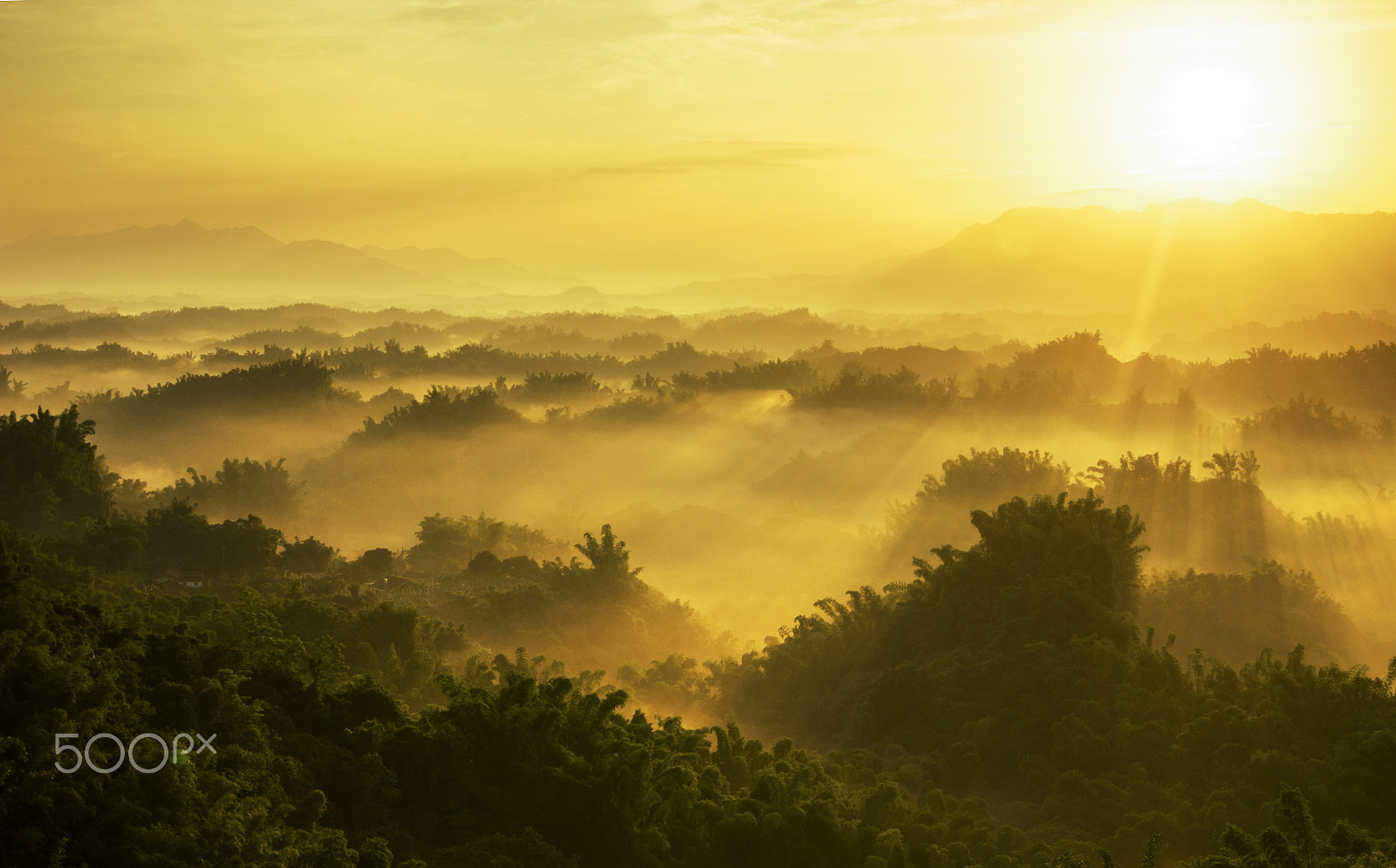 Sony Alpha DSLR-A580 sample photo. Erliao sunrise photography