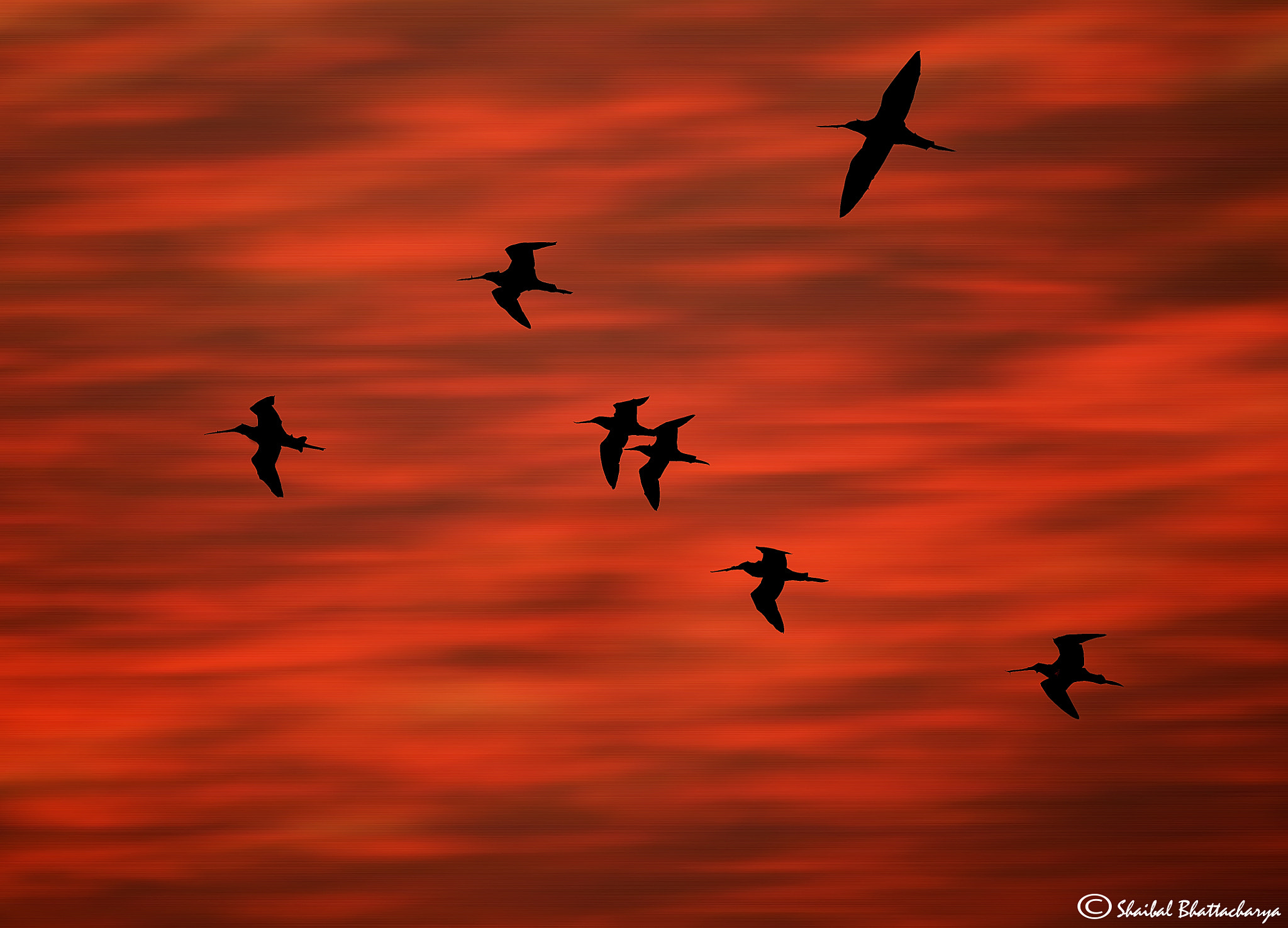 Canon EF 70-200mm F4L USM sample photo. Fiery sunset photography