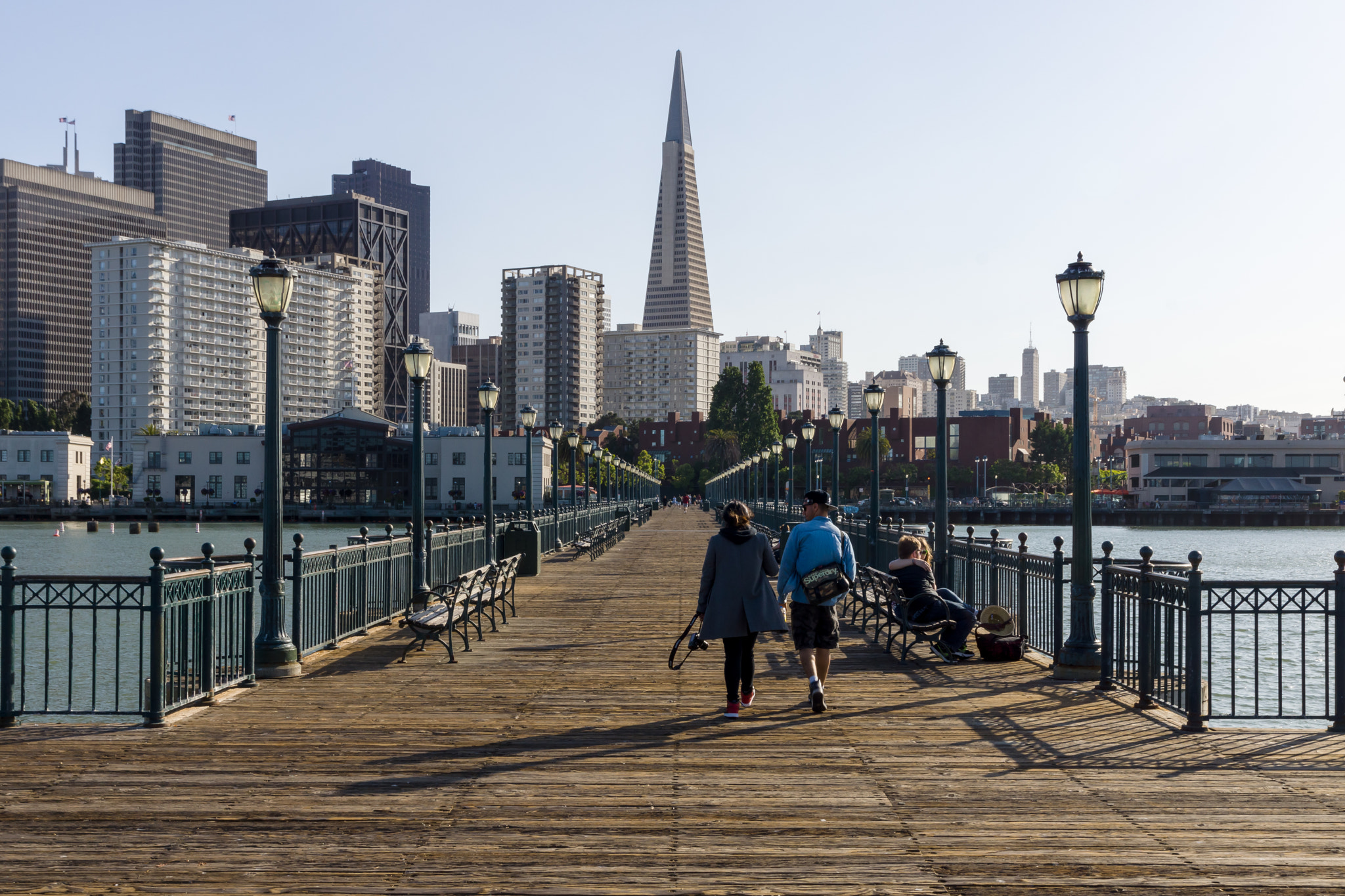 Sony SLT-A65 (SLT-A65V) sample photo. Pier 7 photography