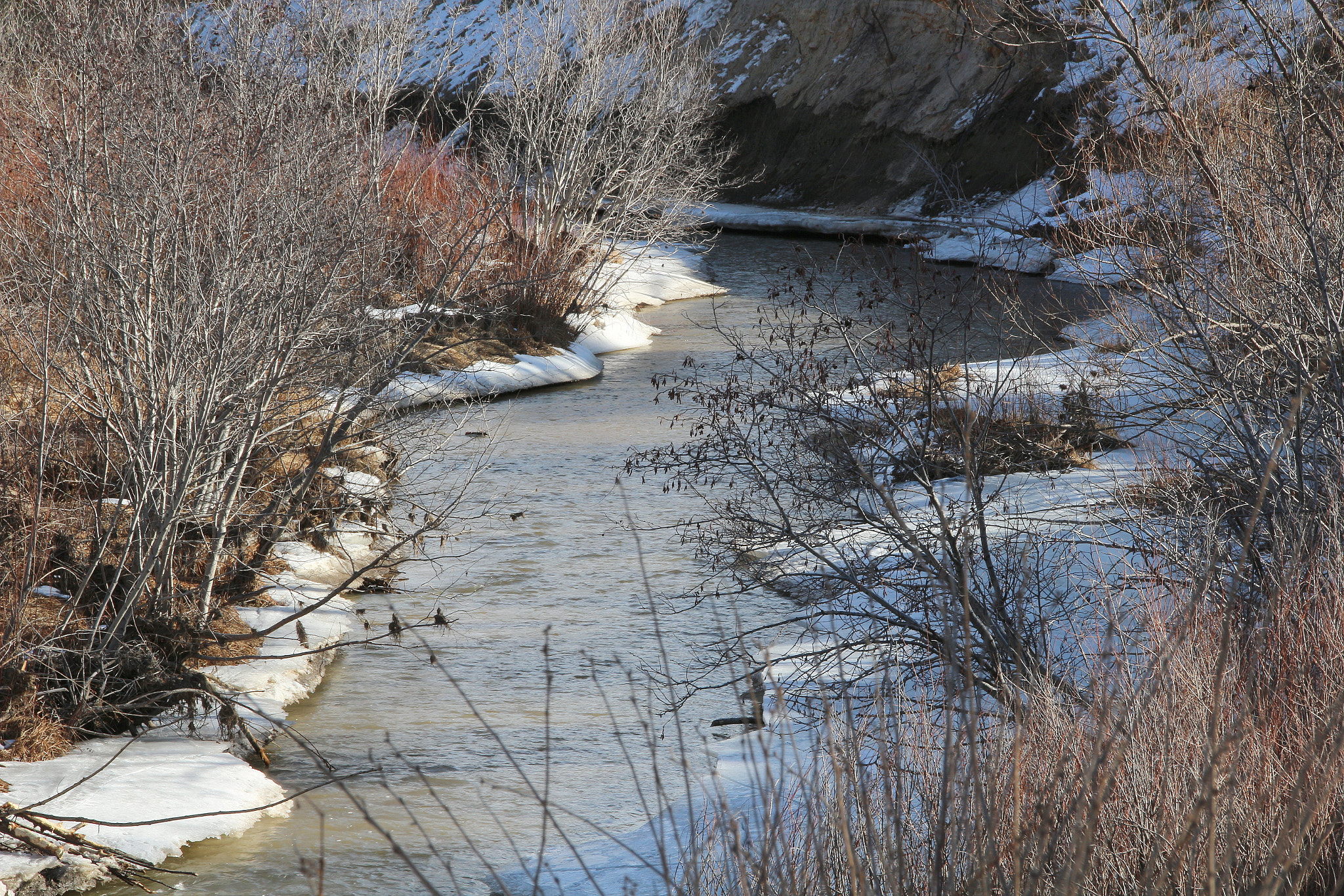 Sigma 18-250mm F3.5-6.3 DC OS HSM sample photo. A creek runs through it. photography