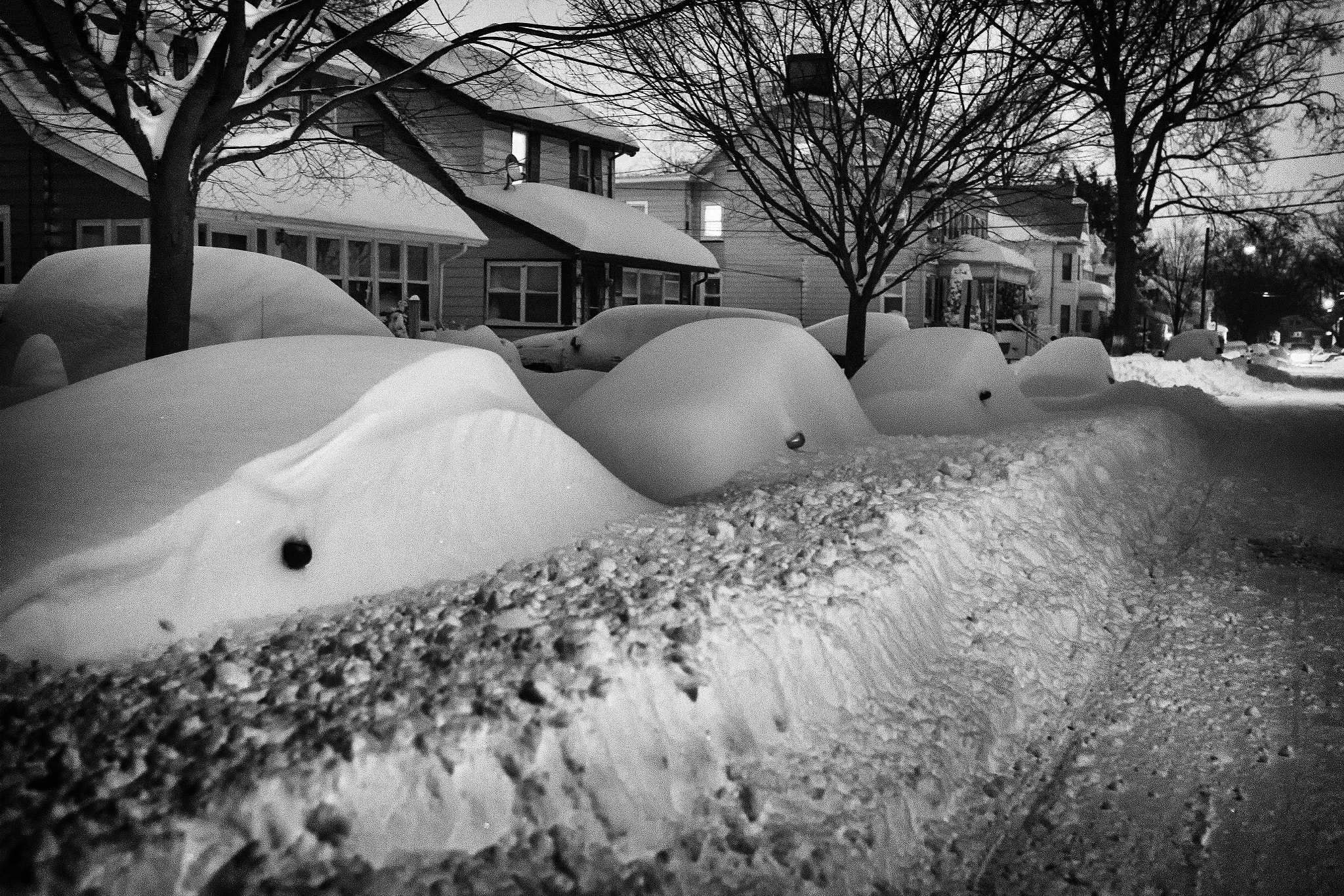 Sigma 24mm F1.4 DG HSM Art sample photo. Where did i park? photography