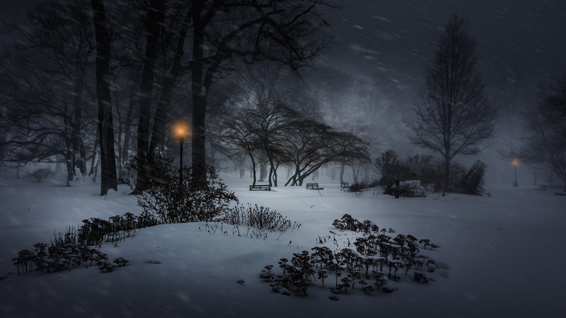 Pentax smc DA 15mm F4 ED AL Limited sample photo. Winter storm jonas at kissena park photography