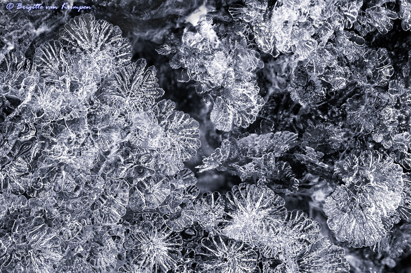Canon EOS 60D + Canon EF 100mm F2.8 Macro USM sample photo. Last remains of winter photography