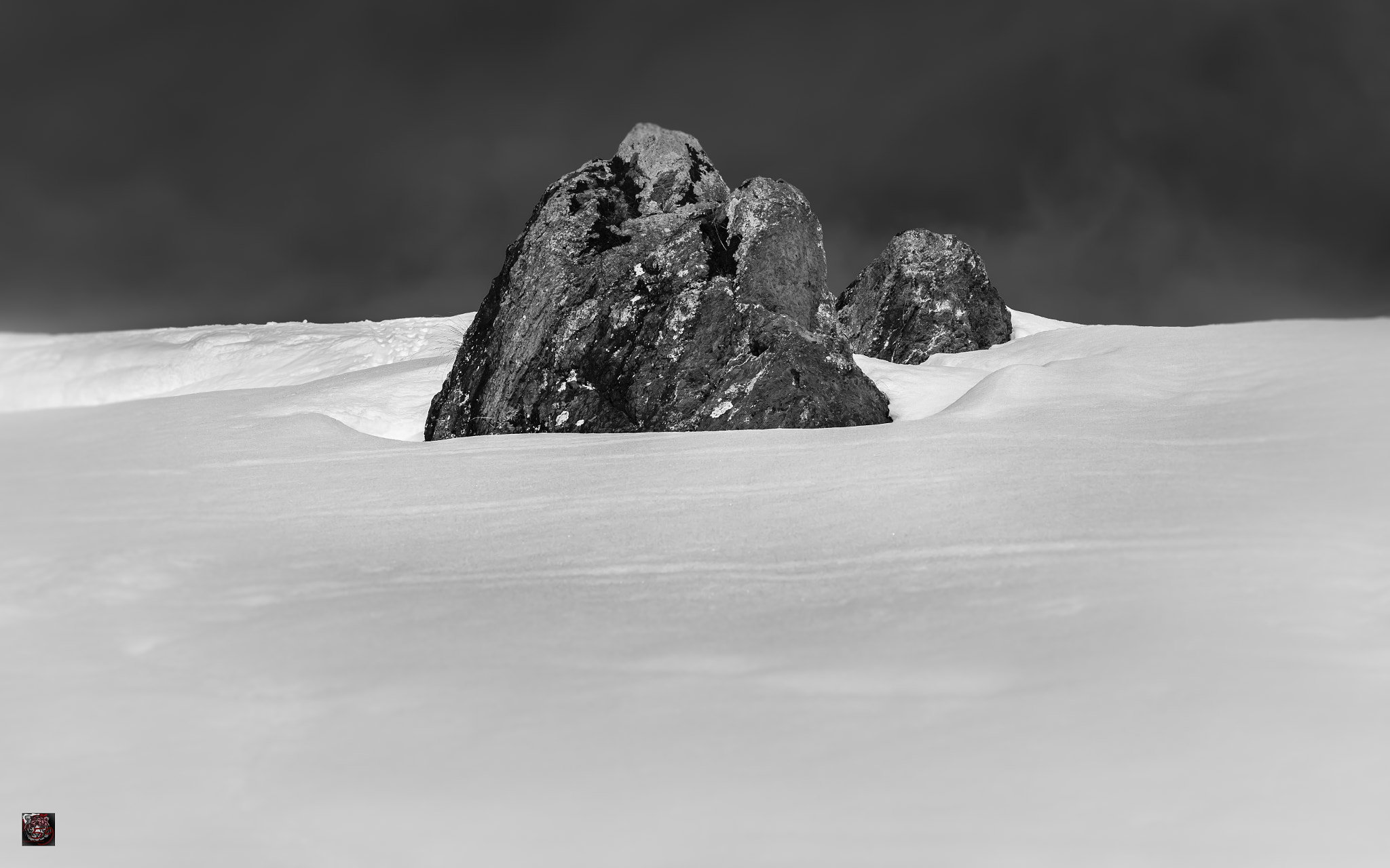 Leica M9 + Leica APO-Summicron-M 90mm F2 ASPH sample photo. Winter: island in the snow ... photography