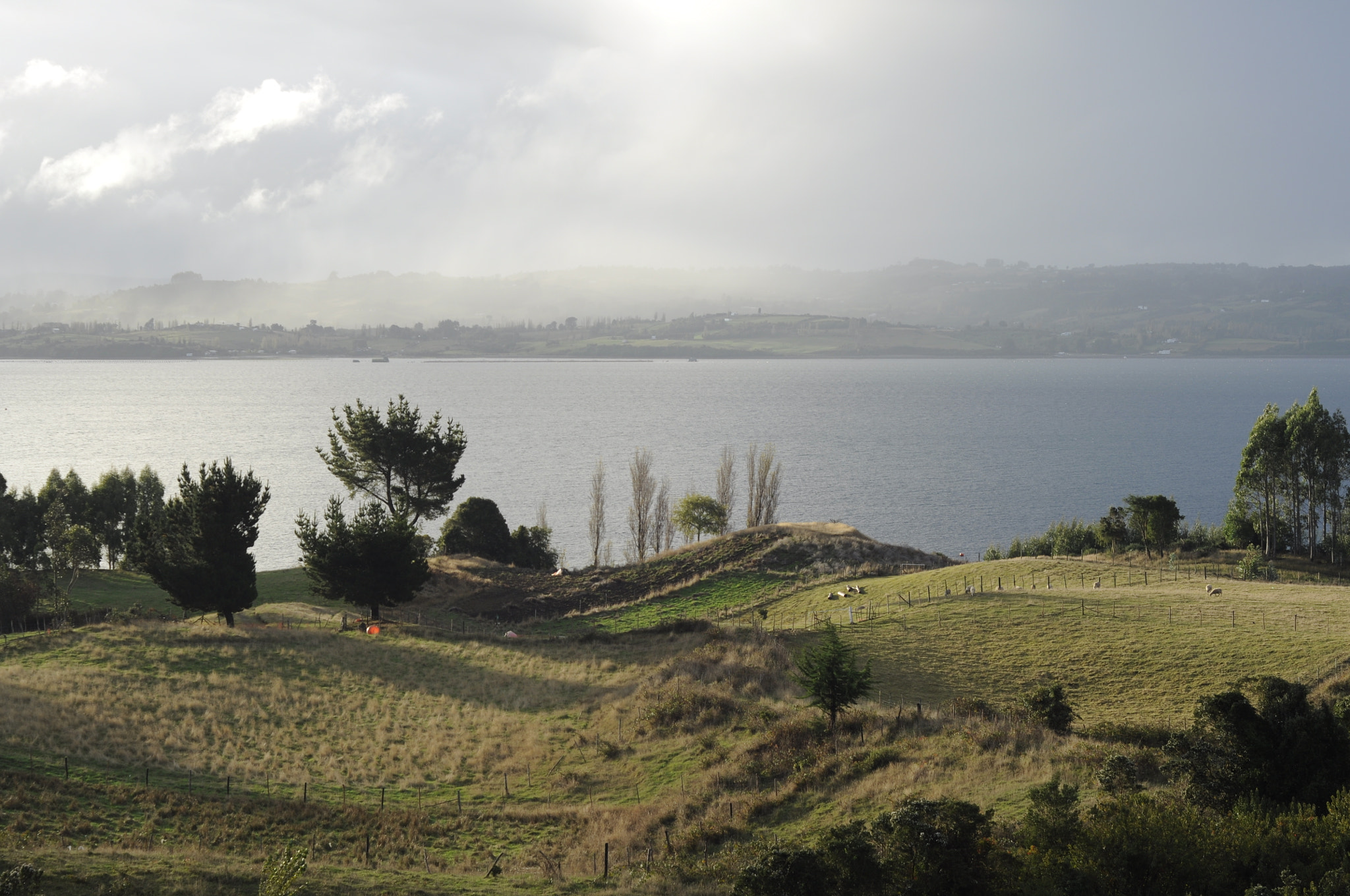 AF Nikkor 50mm f/1.8 sample photo. Chile, chiloé, isla lemuy photography