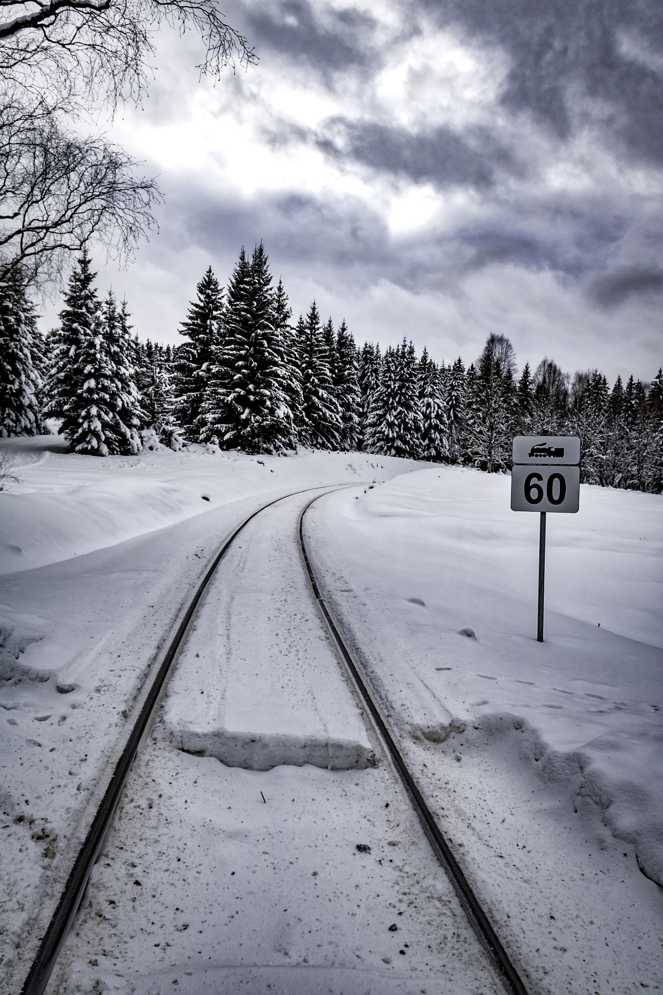 Canon EOS 750D (EOS Rebel T6i / EOS Kiss X8i) sample photo. The lonely train to nové Údolí photography