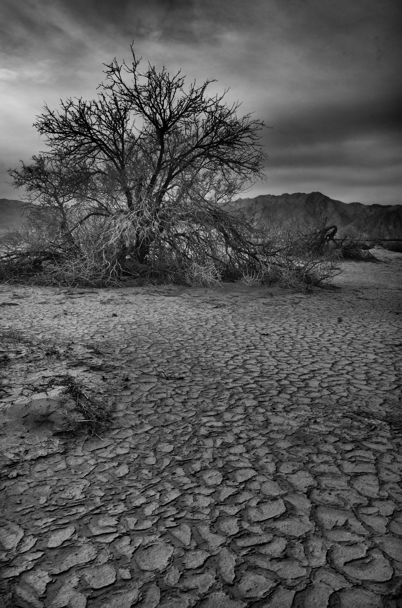 Sigma 18-50mm F2.8-4.5 DC OS HSM sample photo. Desert rain photography