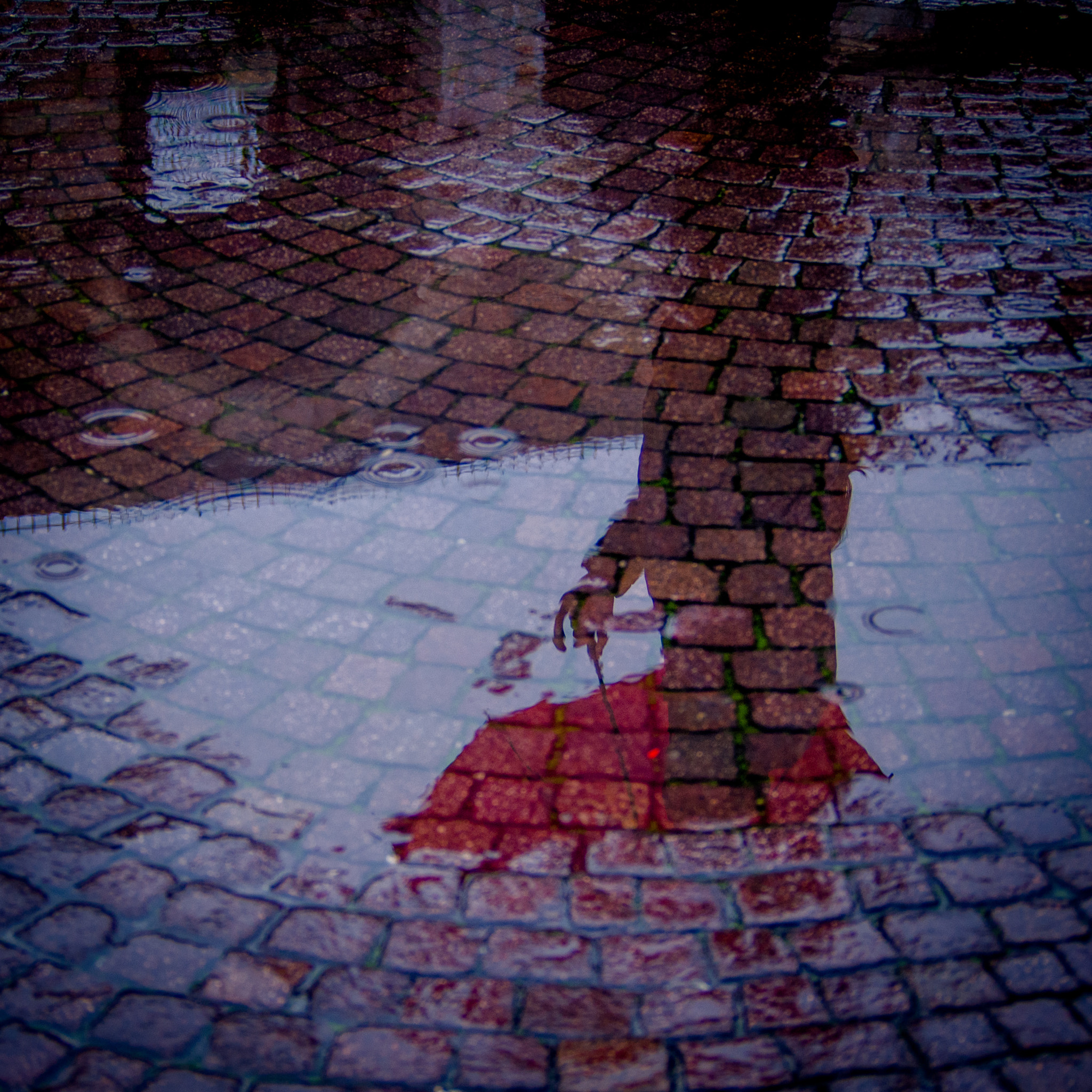 Olympus PEN E-P5 sample photo. The red umbrella photography